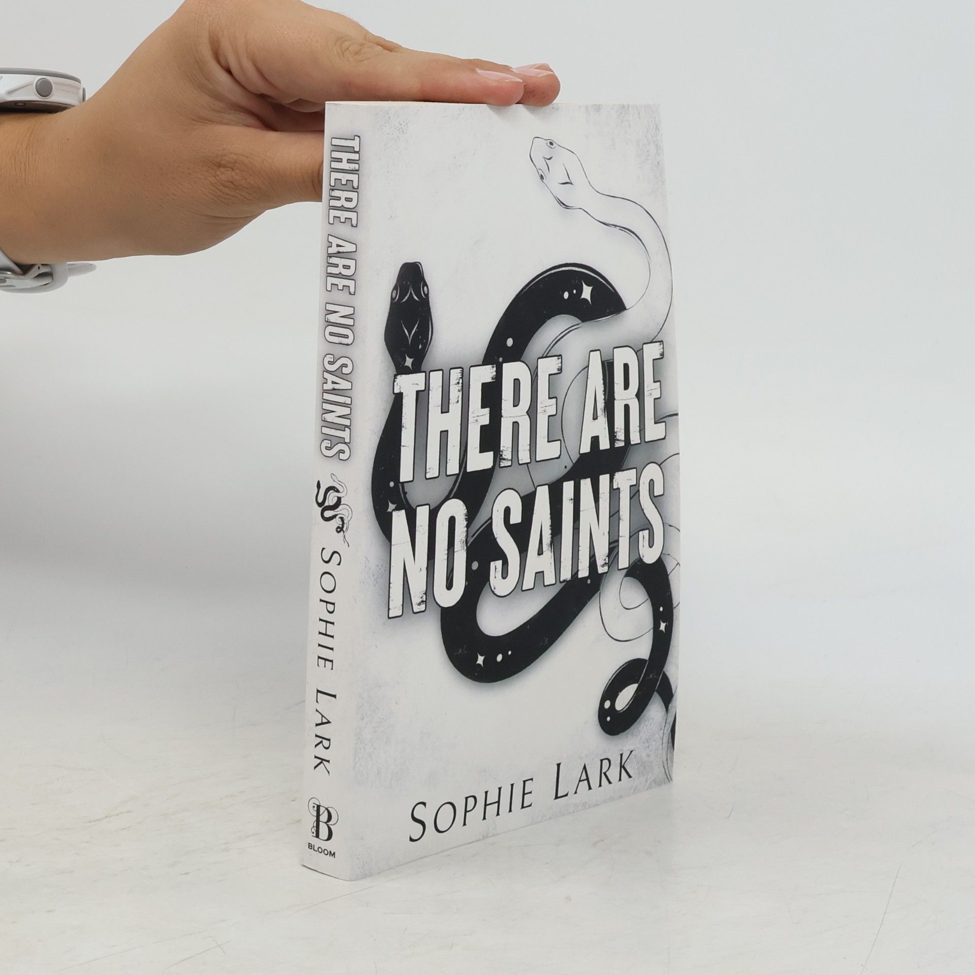 Sophie Lark There Are No Saints