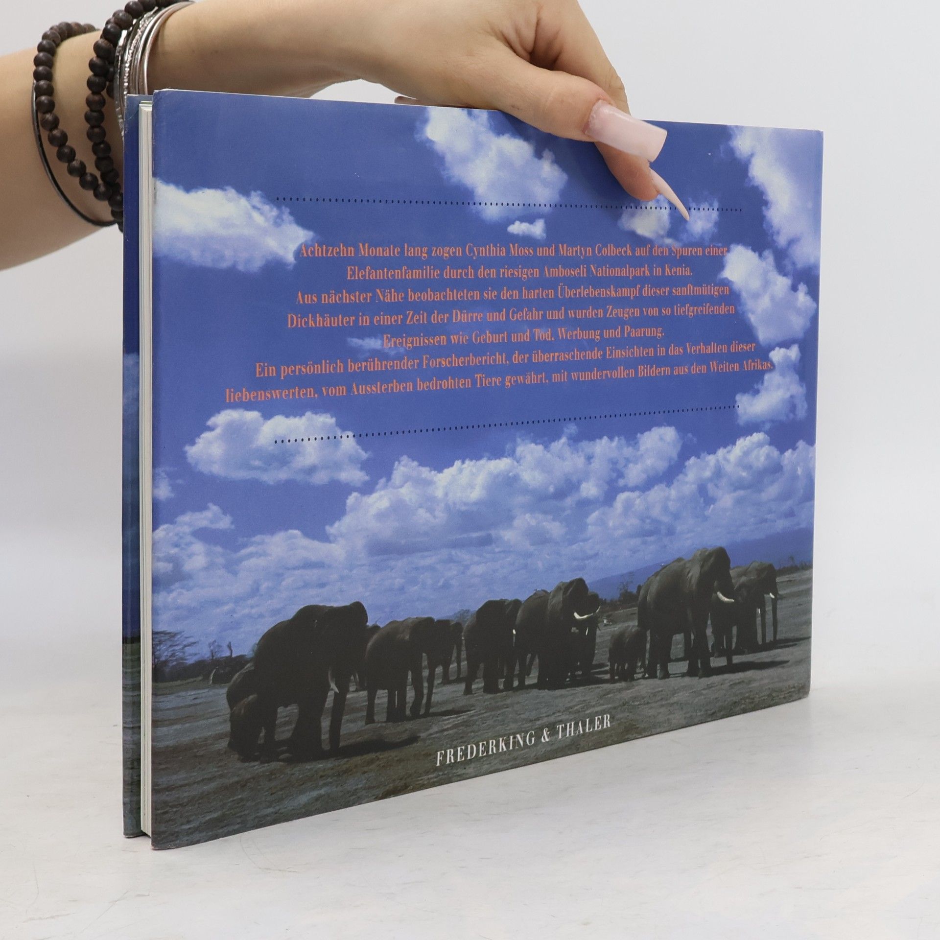 Cynthia Moss Das Jahr der Elephanten