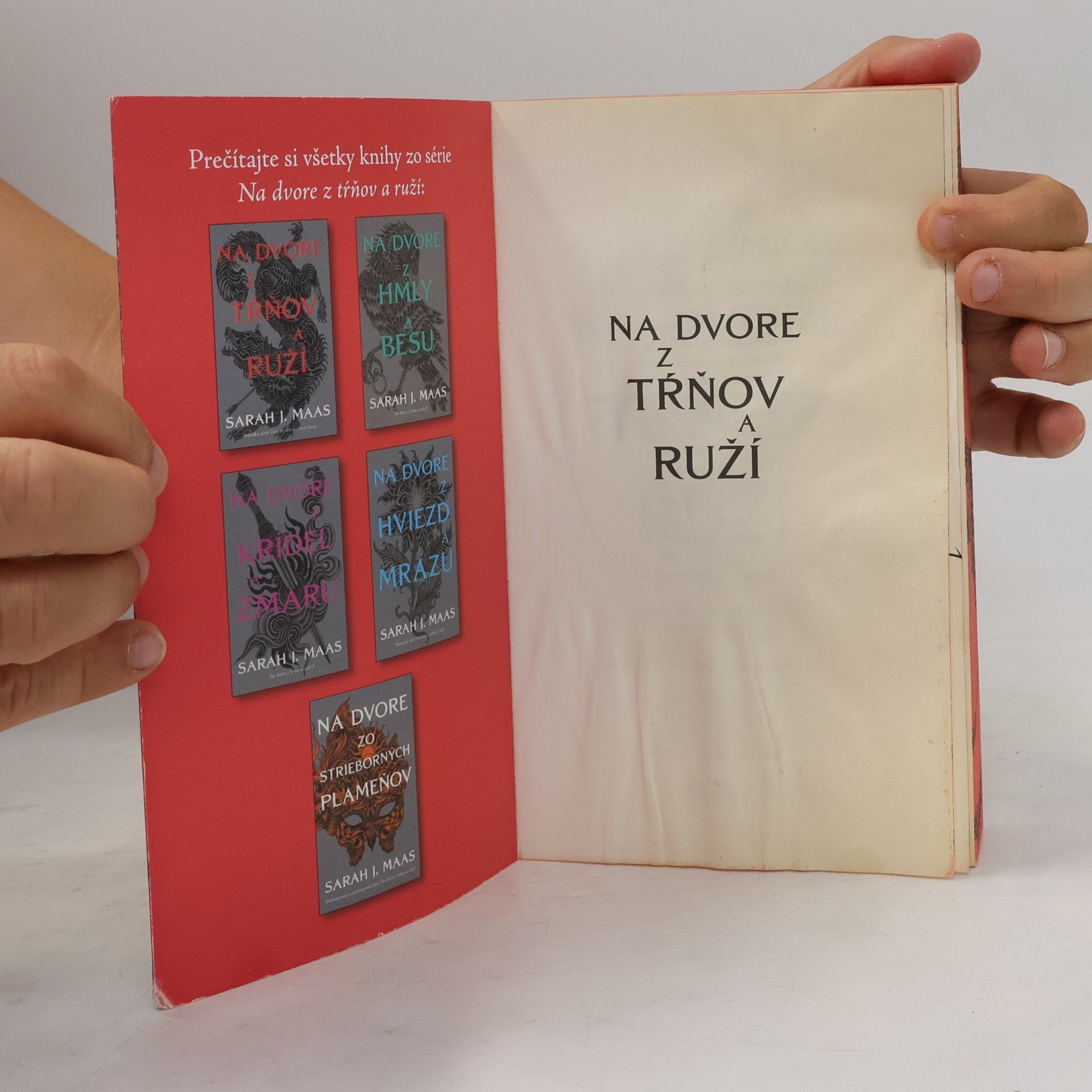 Sarah J. Maas Na dvore z tŕňov a ruží
