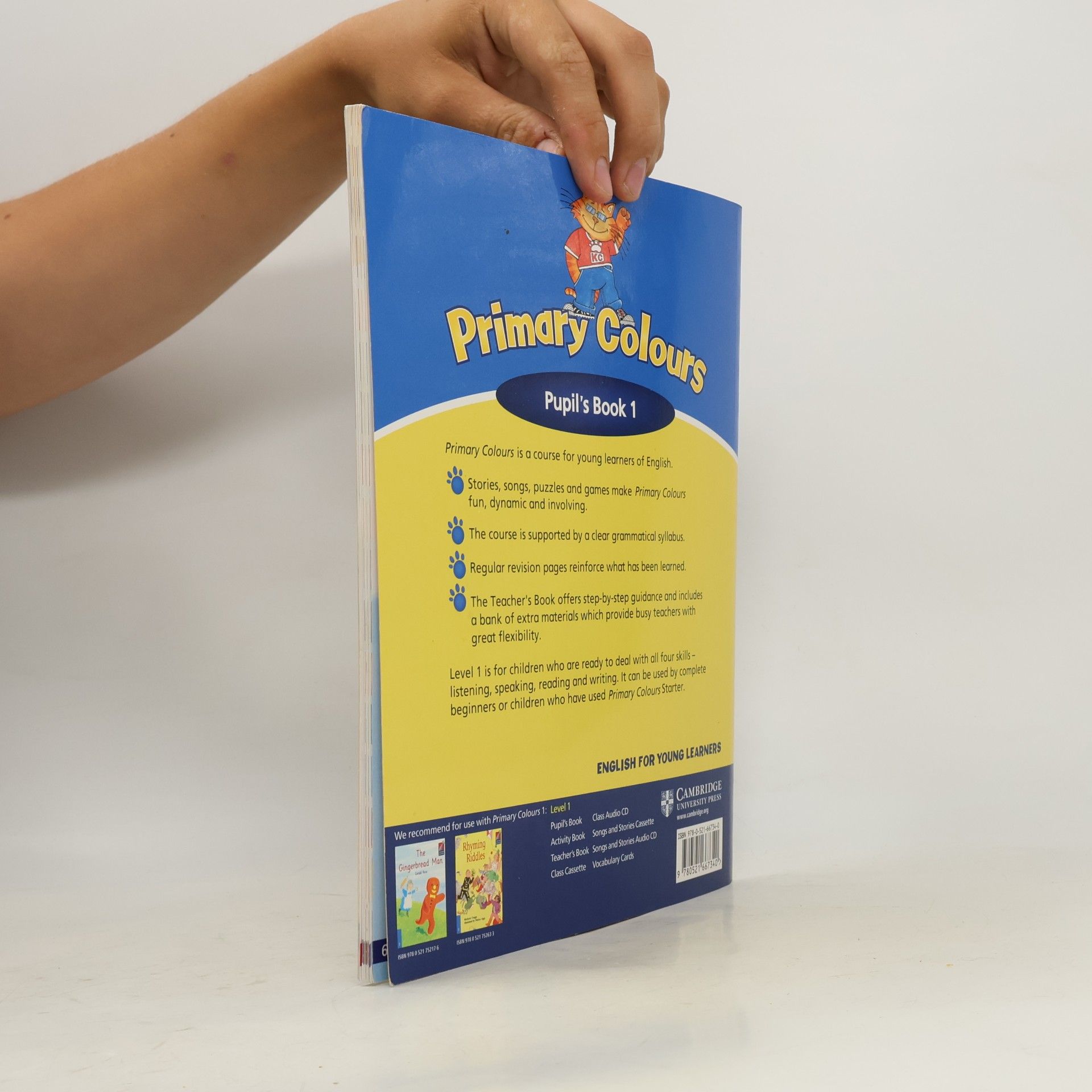 Diana Hicks Primary colours: Pupil's book 1