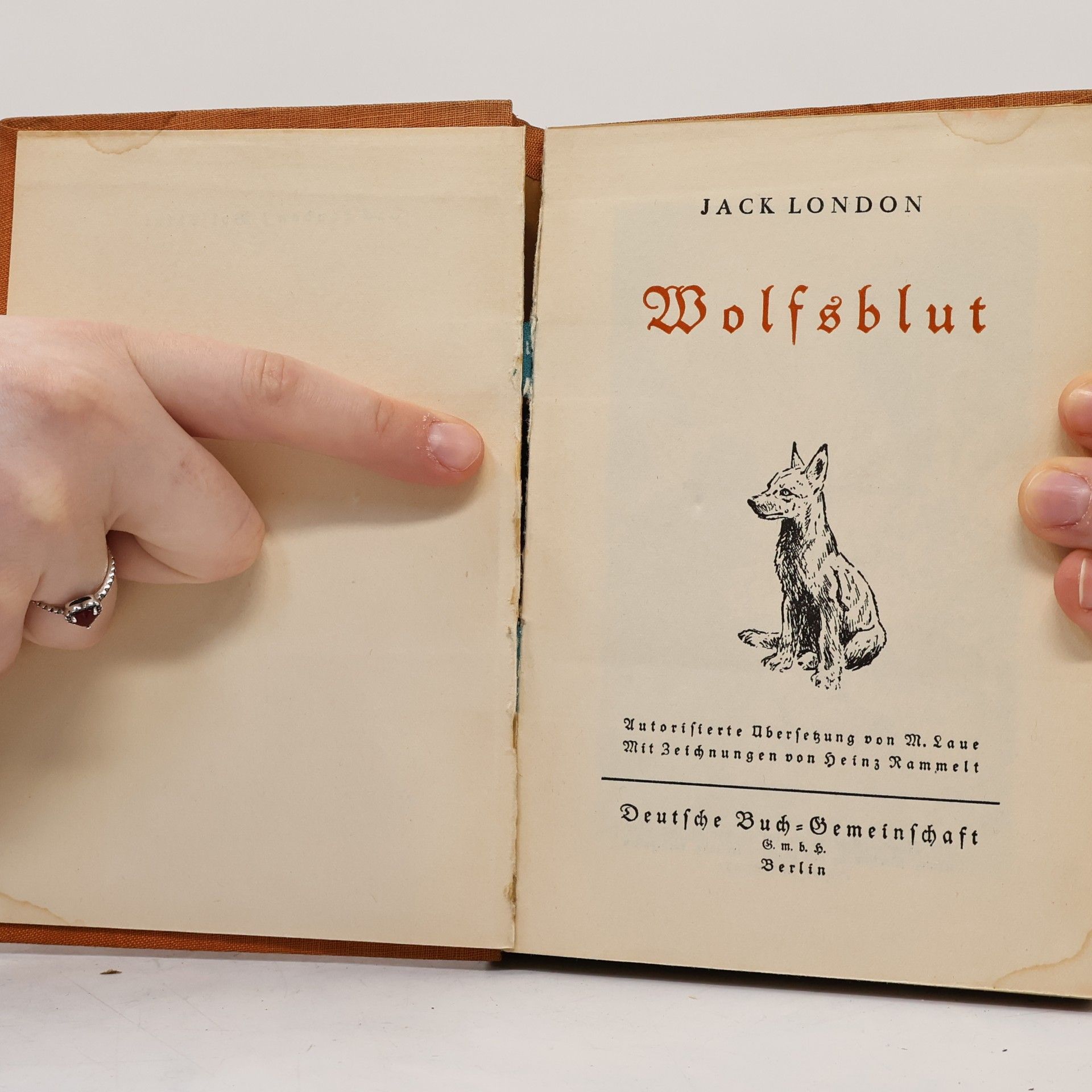 Jack London Wolfsblut