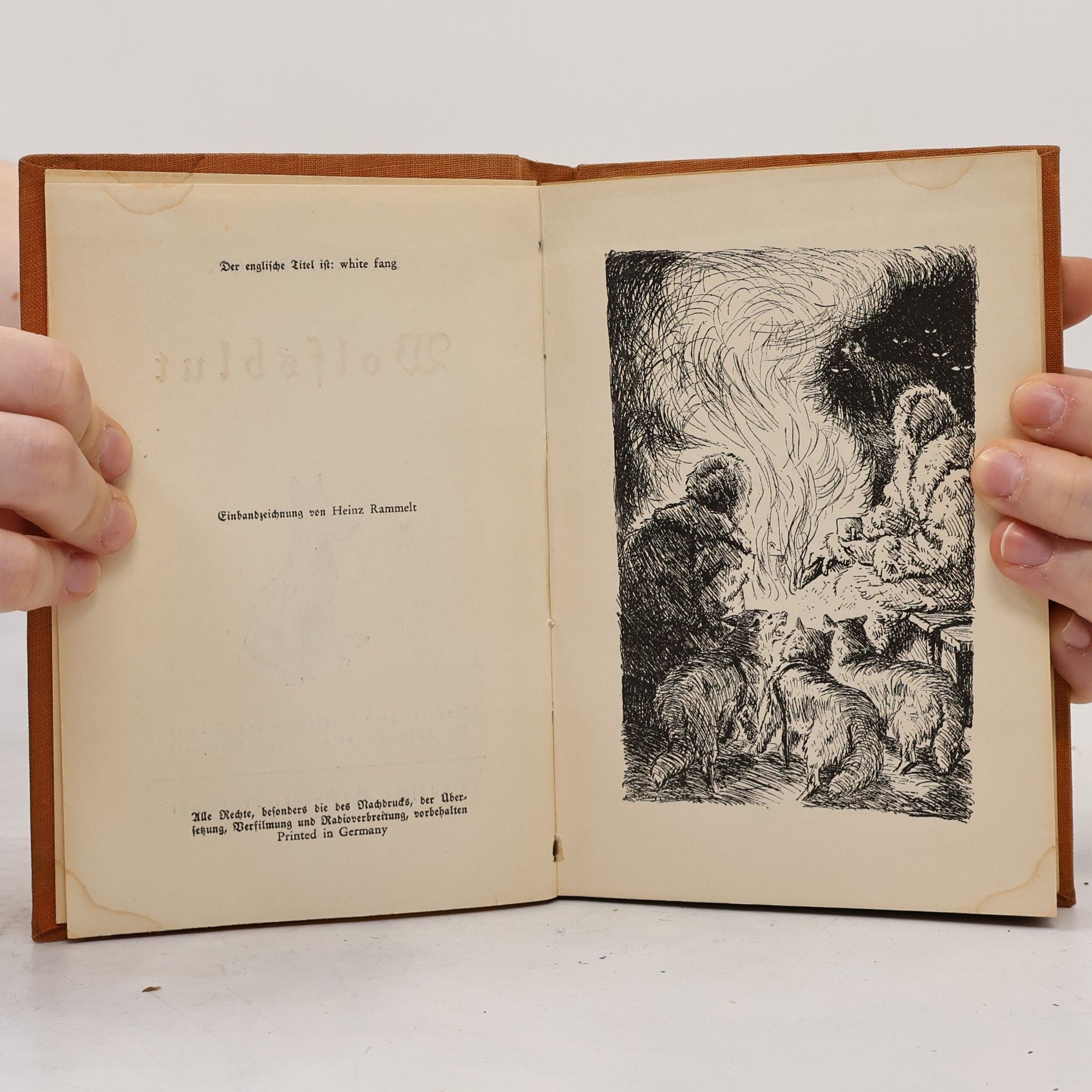Jack London Wolfsblut