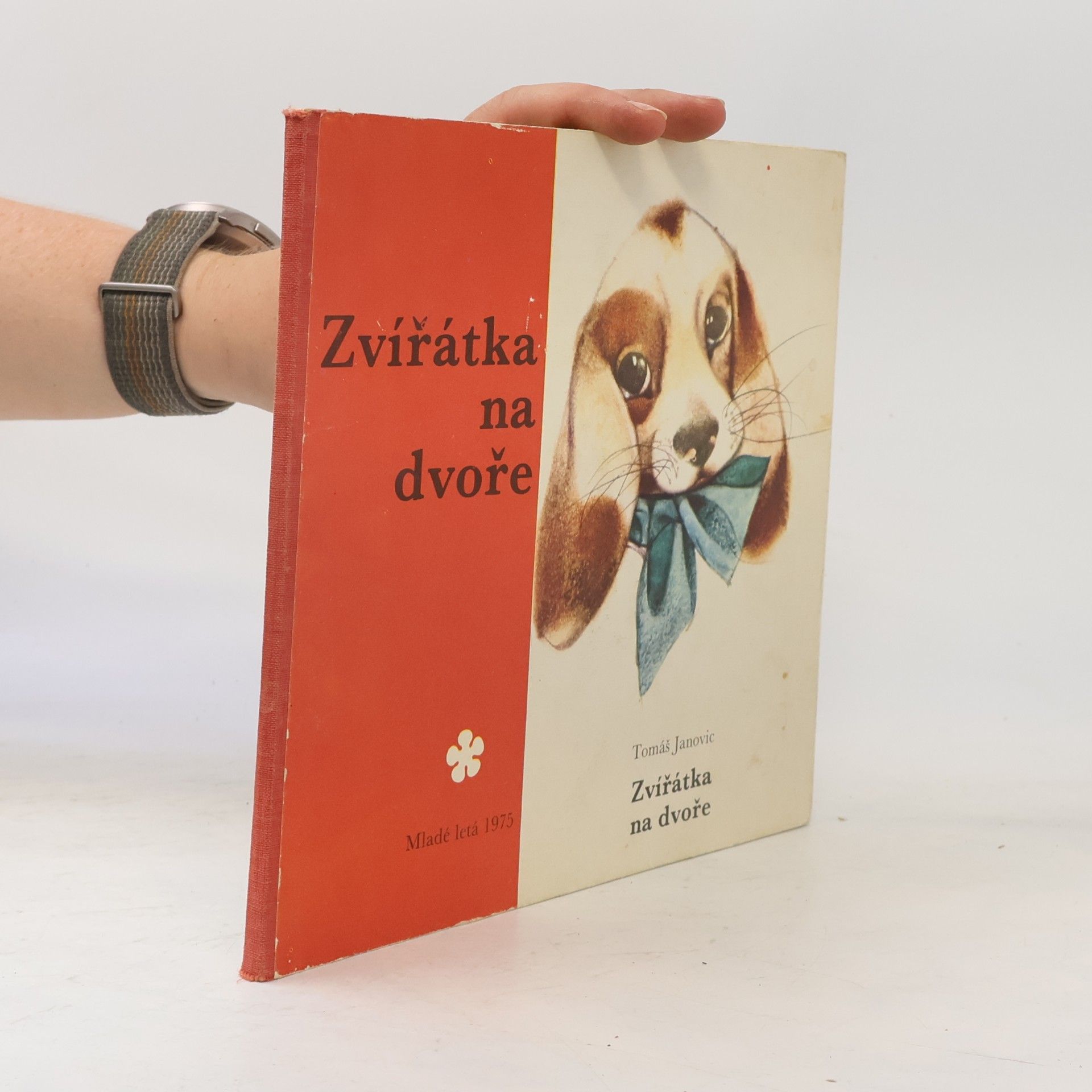 Zvířátka na dvoře