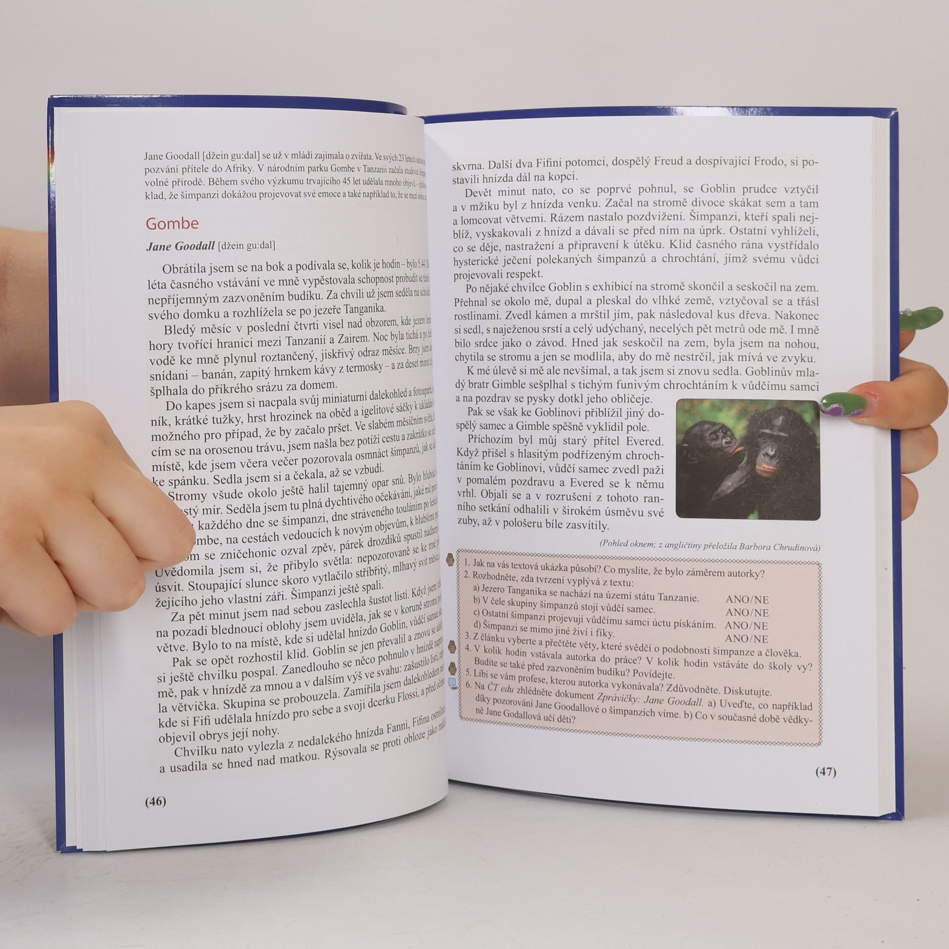 Autorenkollektiv Čítanka pro 7. ročník - Čtení s porozuměním