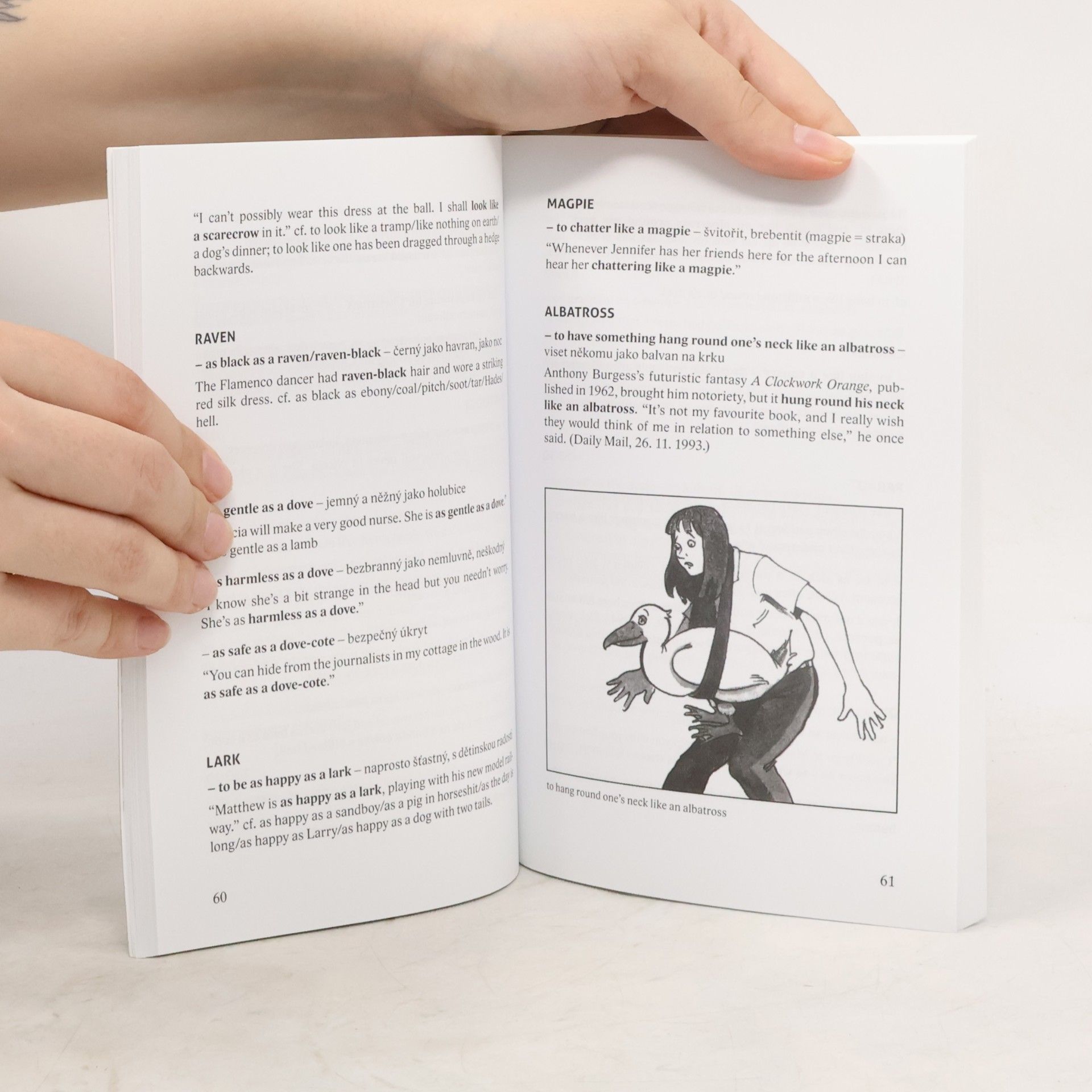 Daphne M. Gulland Anglické obrazné fráze a idiomy
