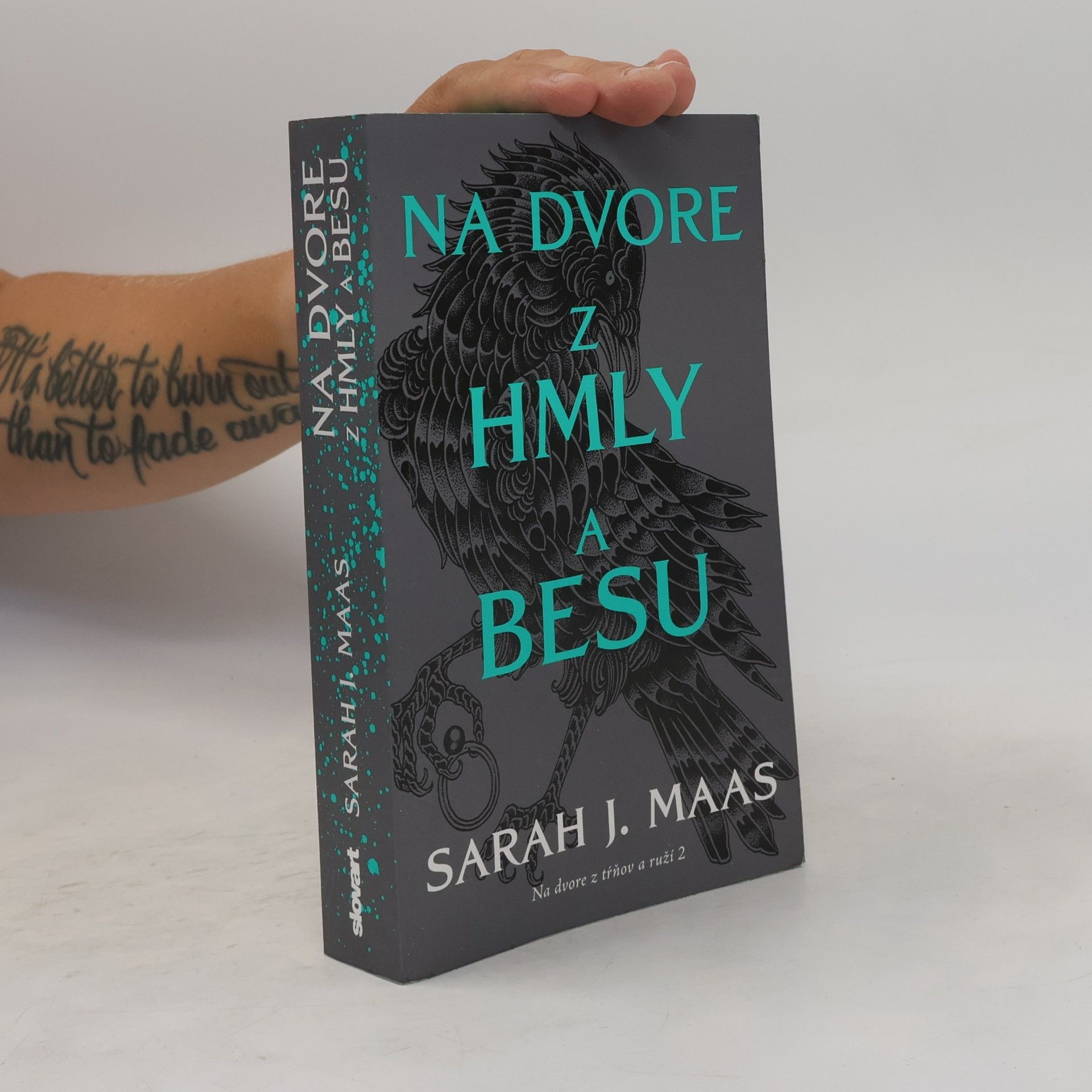 Sarah J. Maas Na dvore z hmly a besu