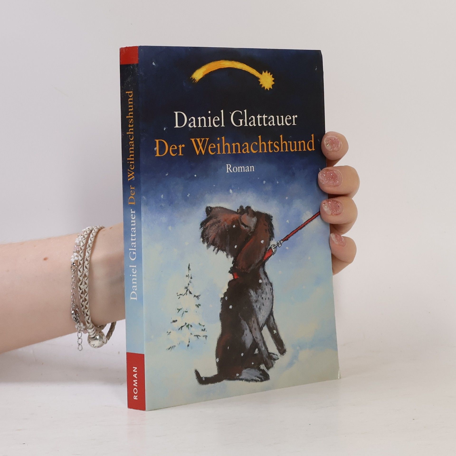 Daniel Glattauer Der Weihnachtshund
