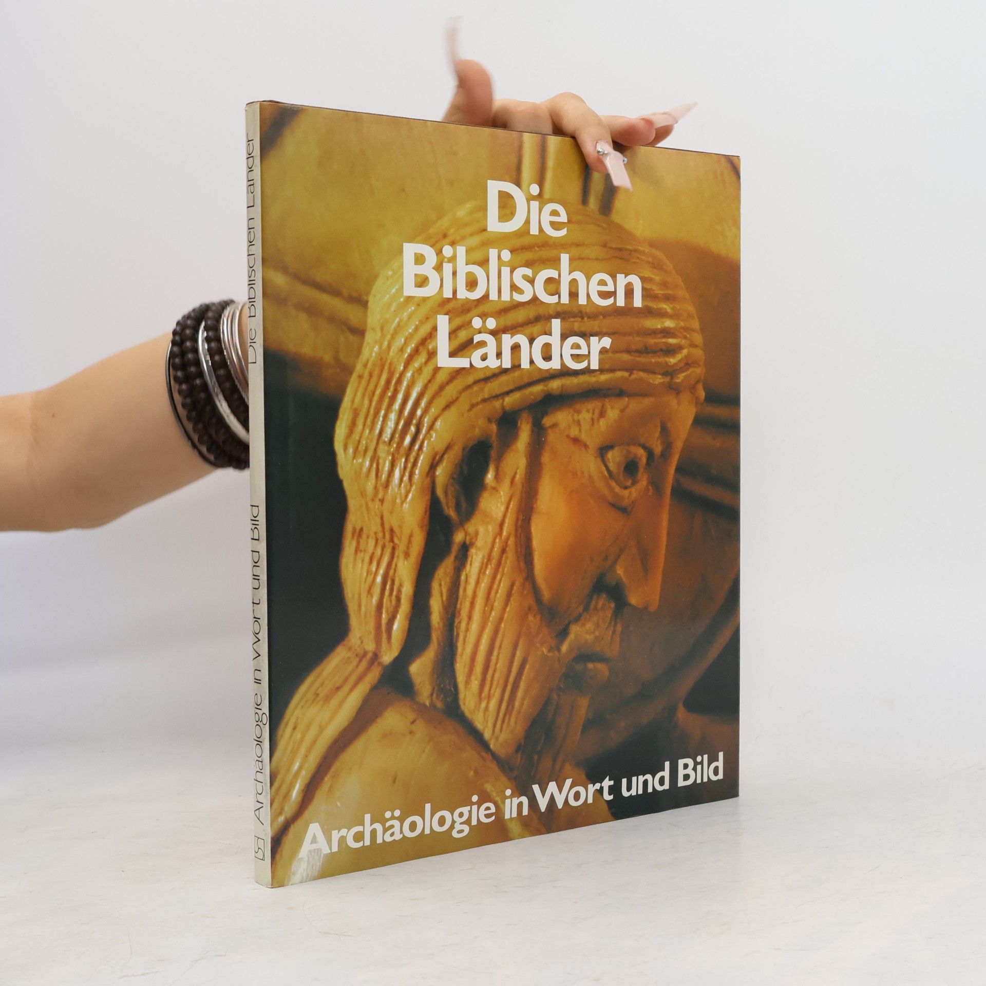 P.R.S. Moorey Die Biblischen Länder