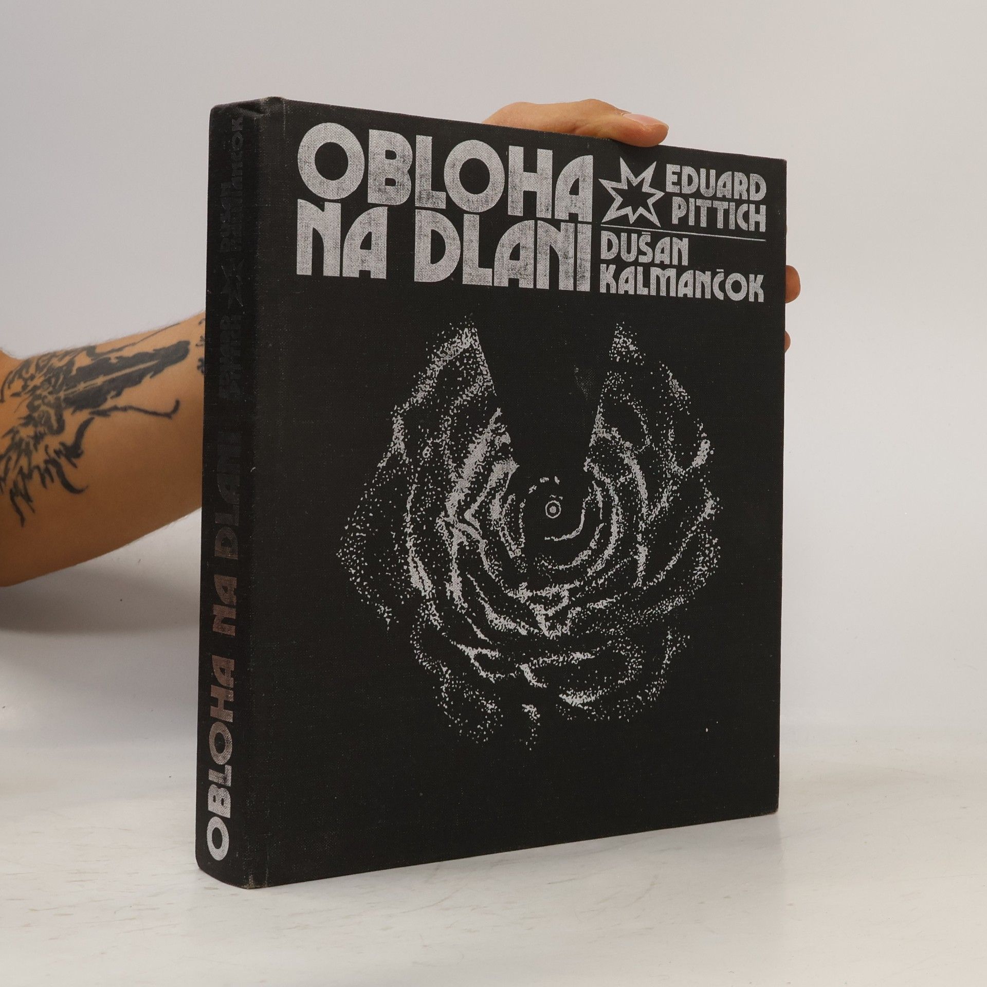 Eduard Pittich Obloha na dlani