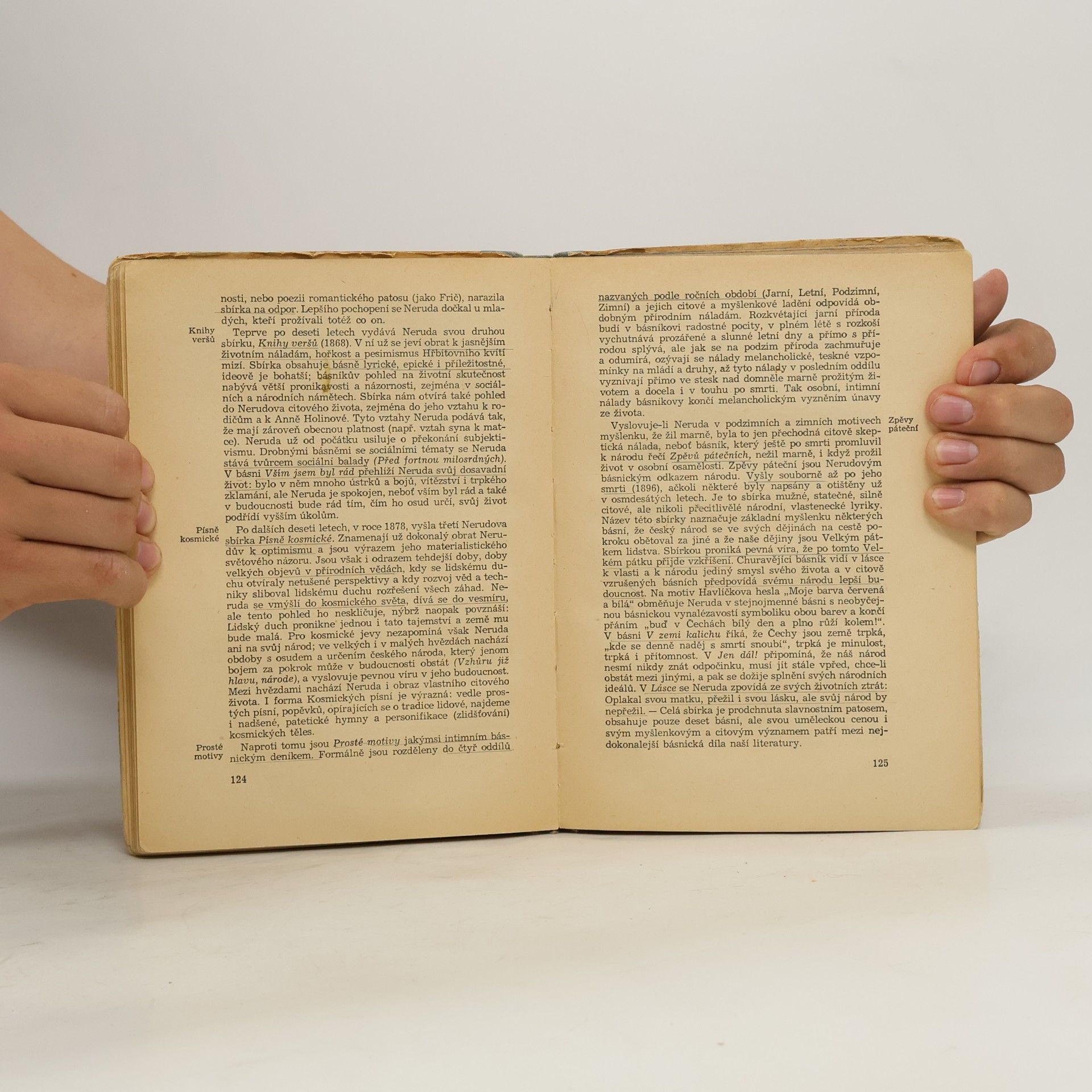Bohuš Balajka Stručné dějiny české a slovenské literatury