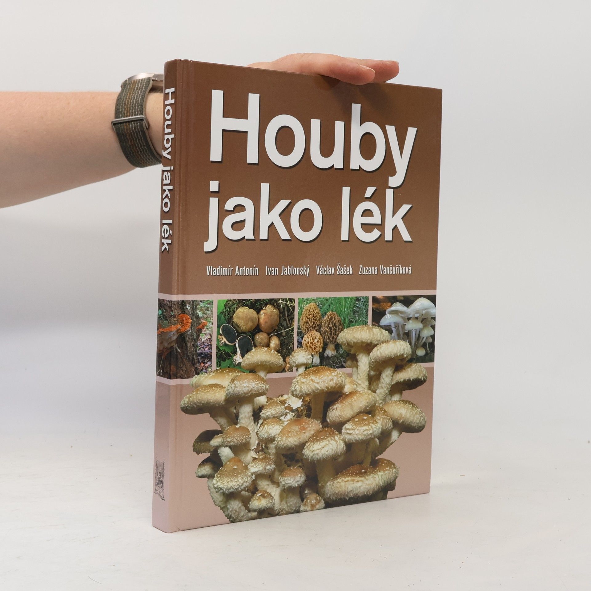 Vladimír Antonín Houby jako lék
