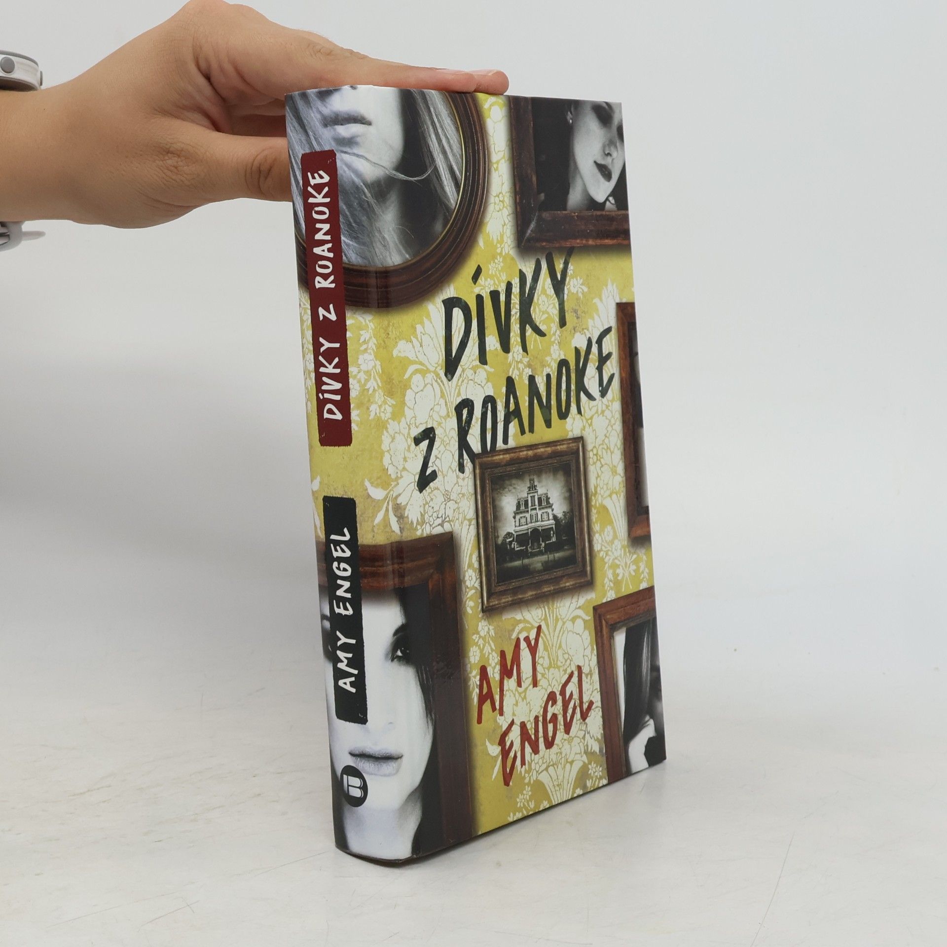 Amy Engel Dívky z Roanoke