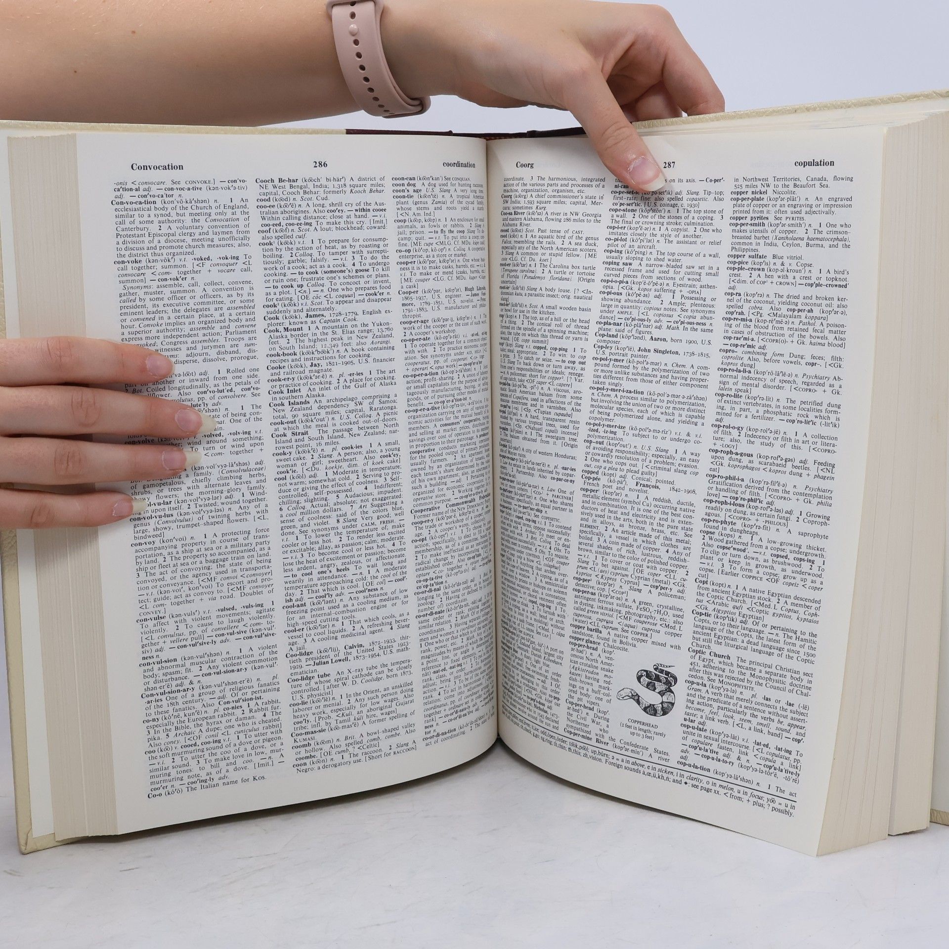 Autores varios Standart Dictionary. International Edition