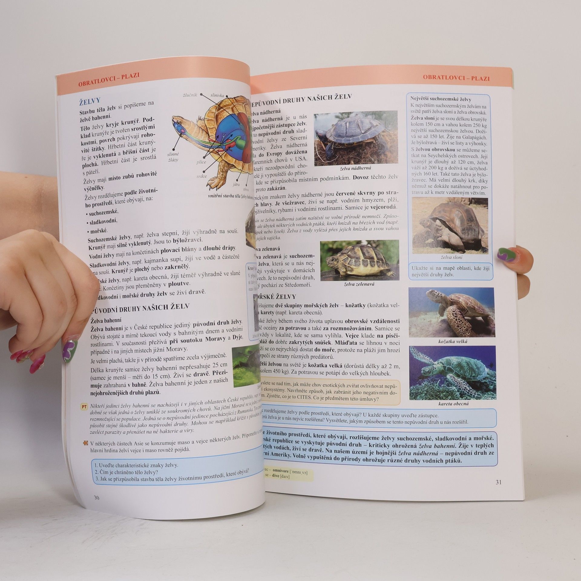 Thea Vieweghová Přírodopis 7 : zoologie a botanika : učebnice pro 7. ročník základní školy a sekundy víceletého gymnázia