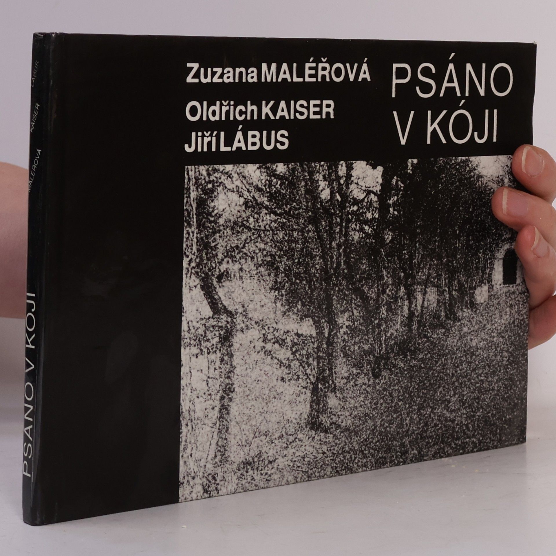 Psáno v kóji