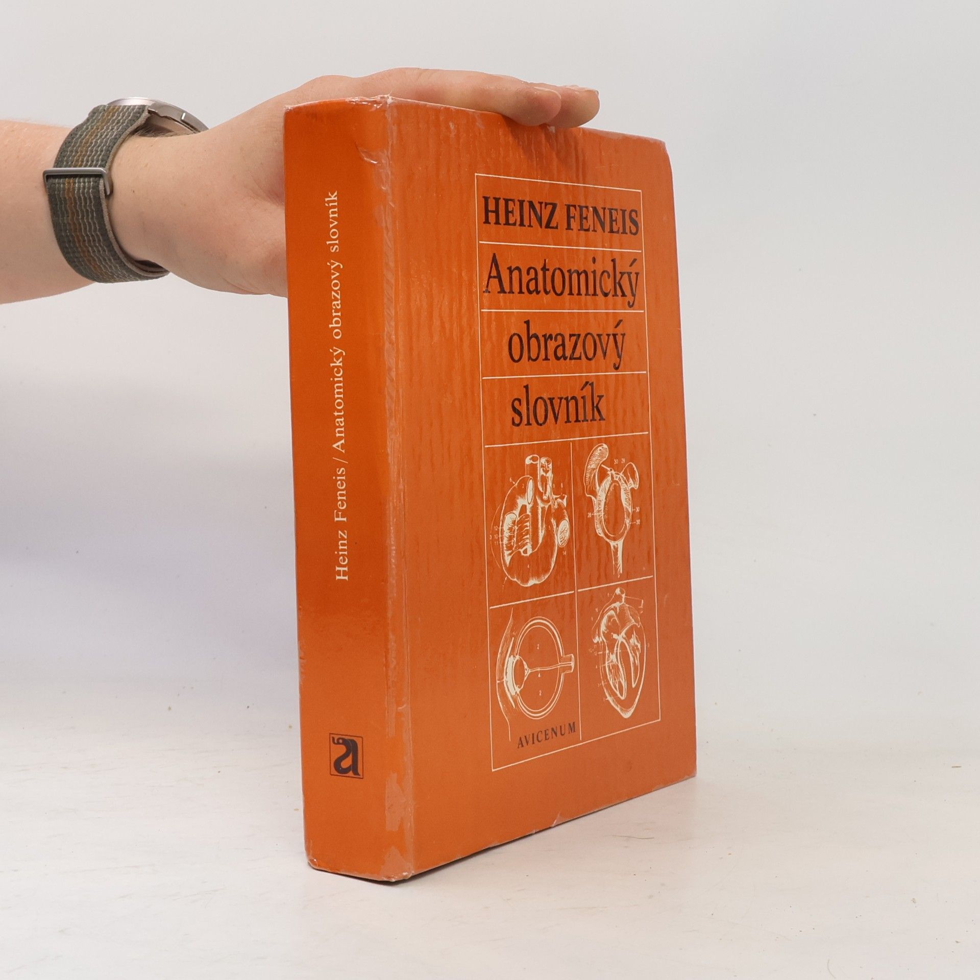 Heinz Feneis Anatomický obrazový slovník