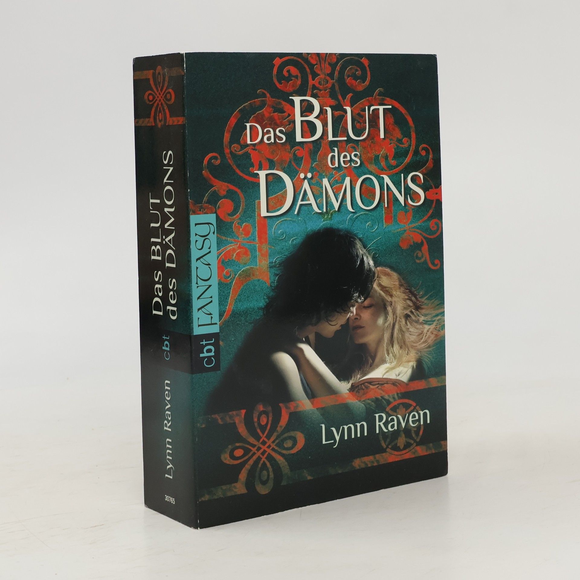 Lynn Raven Das Blut des Dämons