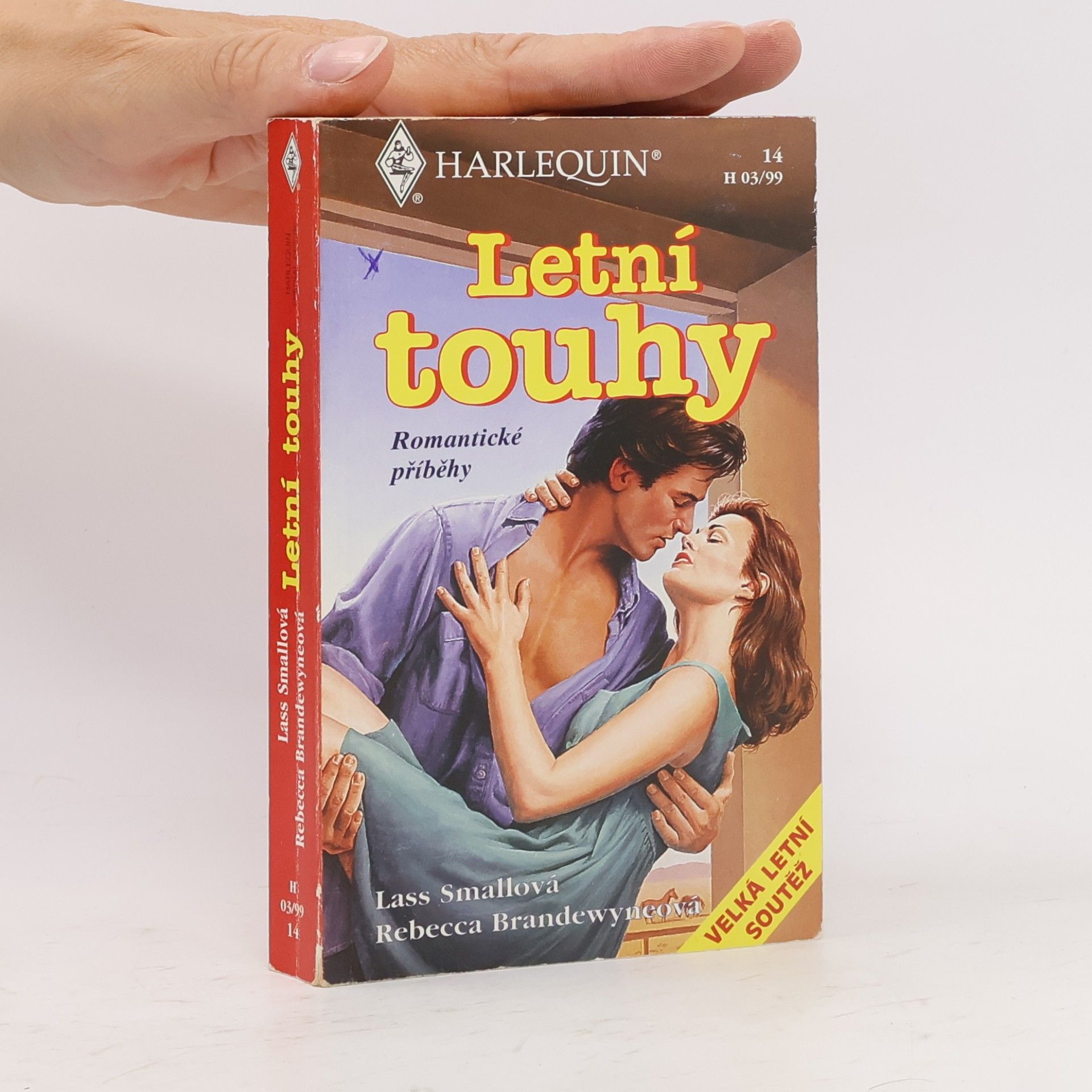 Rebecca Brandewyne Letní touhy