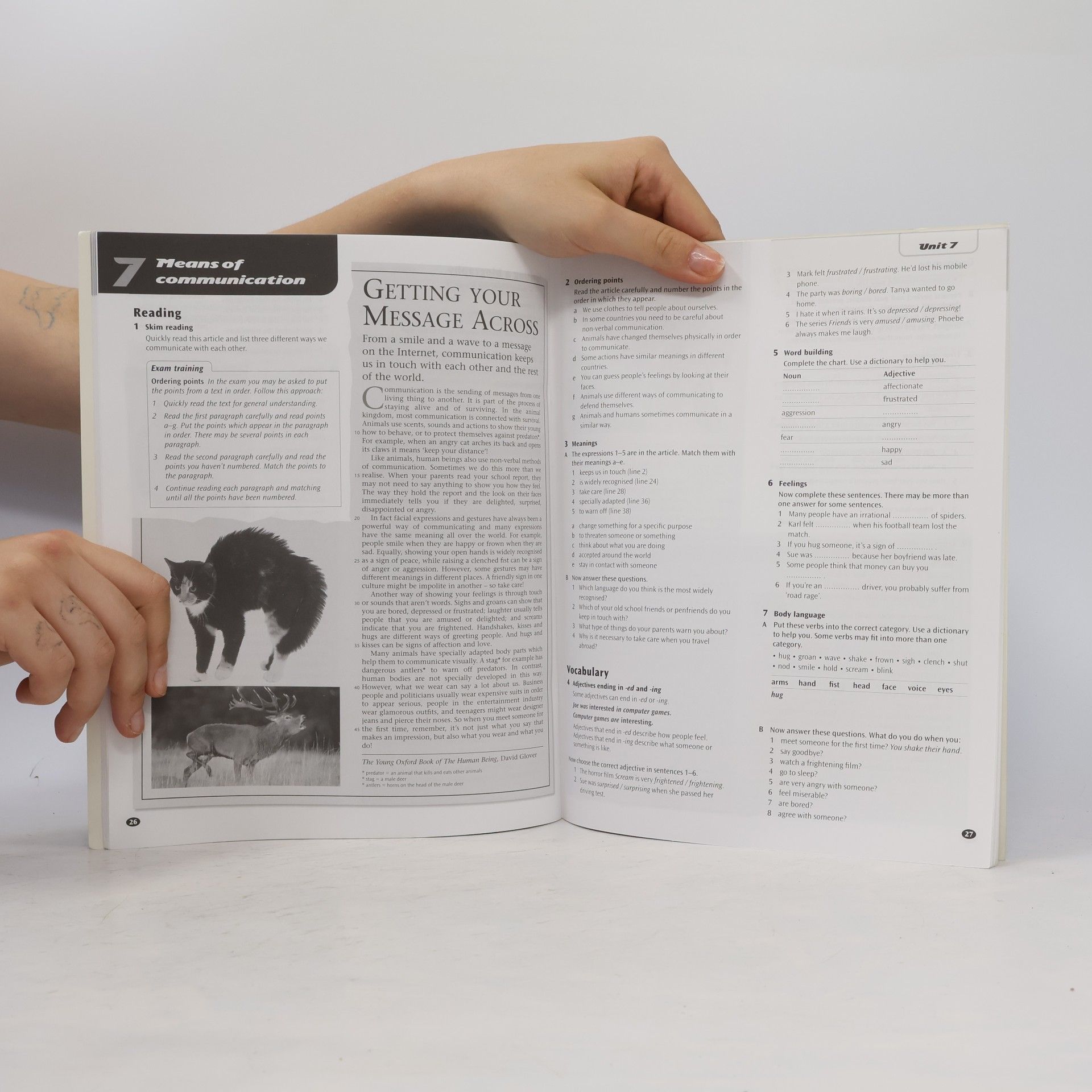 Jayne Wildman Matrix : intermediate workbook