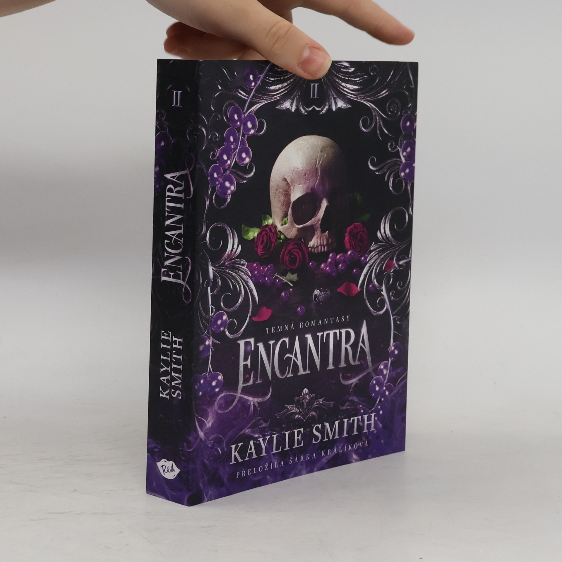 Kaylie Smith Encantra
