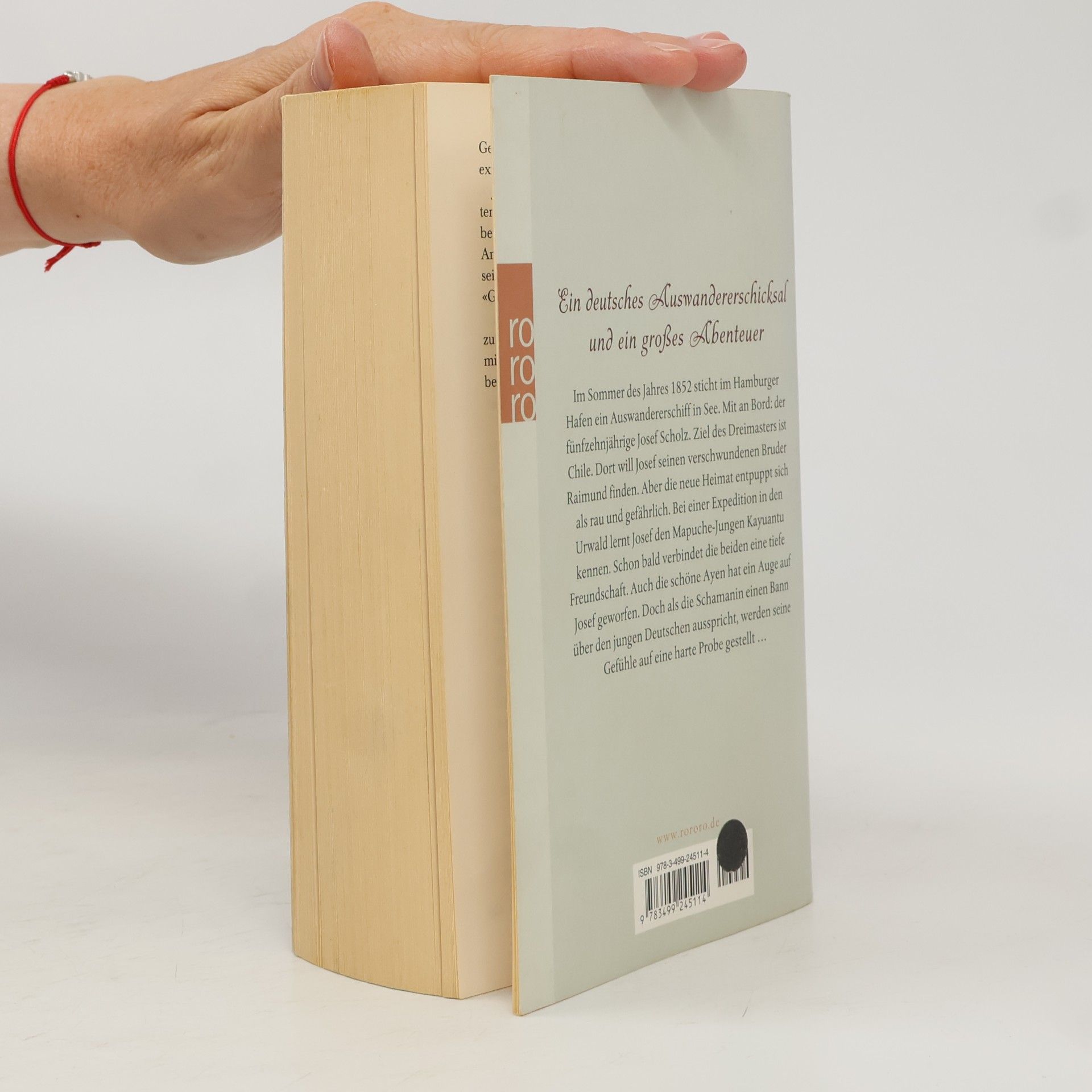 Astrid Fritz Der Ruf des Kondors