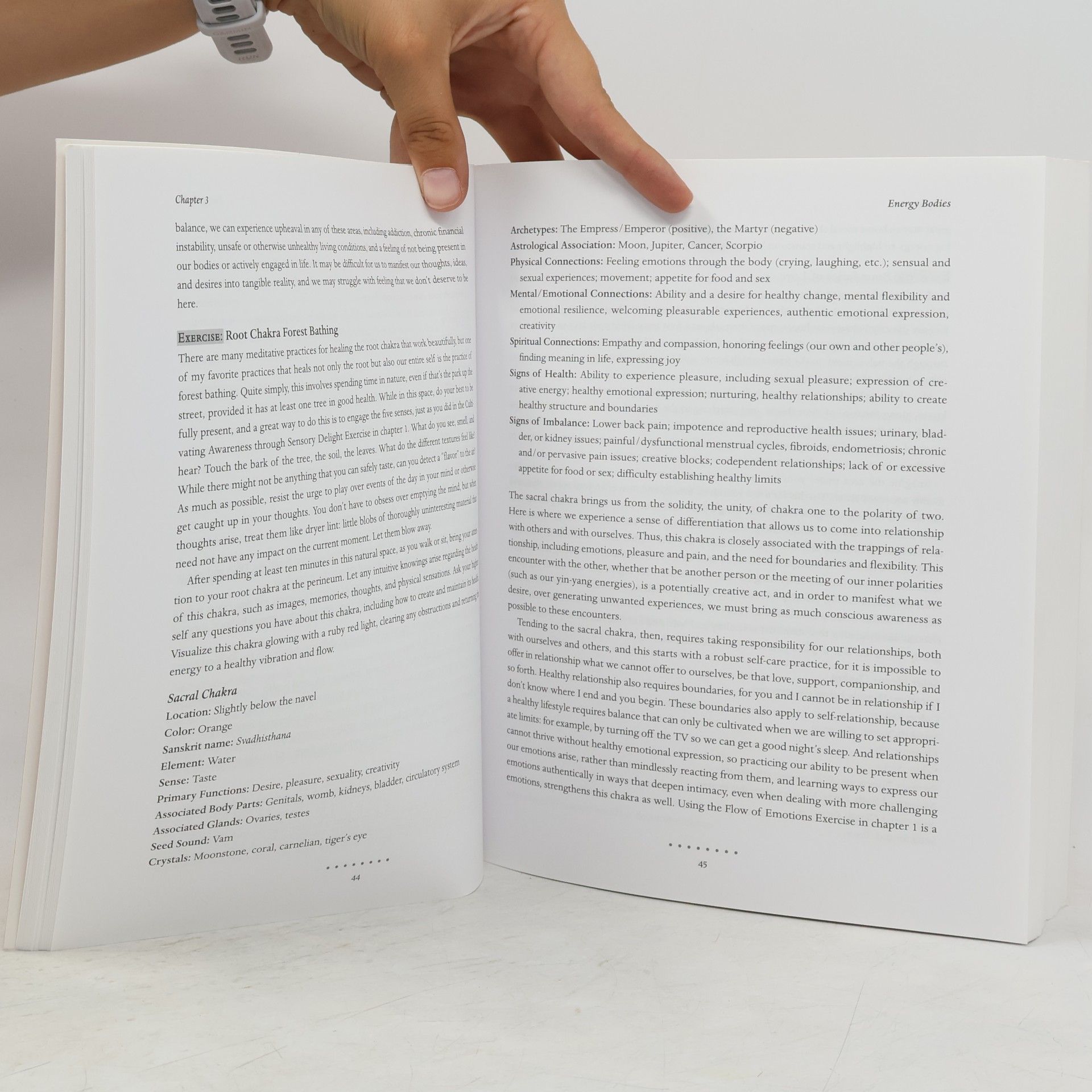 Melissa Tipton Llewellyn's Complete Book of Reiki