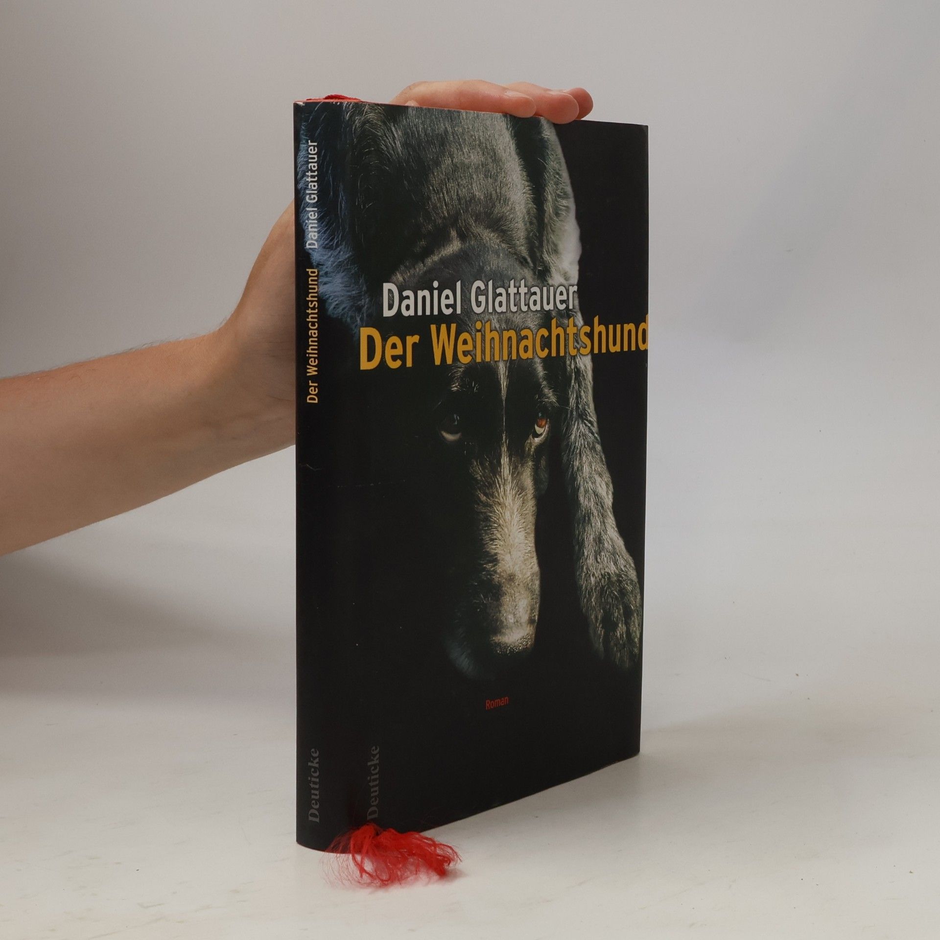 Daniel Glattauer Der Weihnachtshund