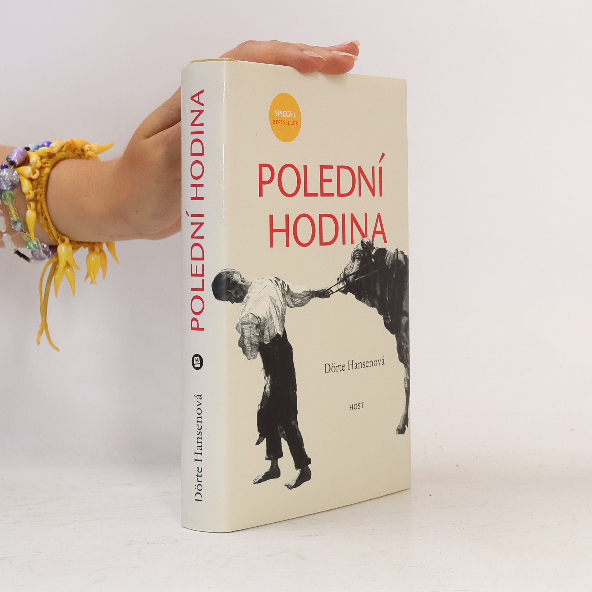 Dörte Hansen Polední hodina