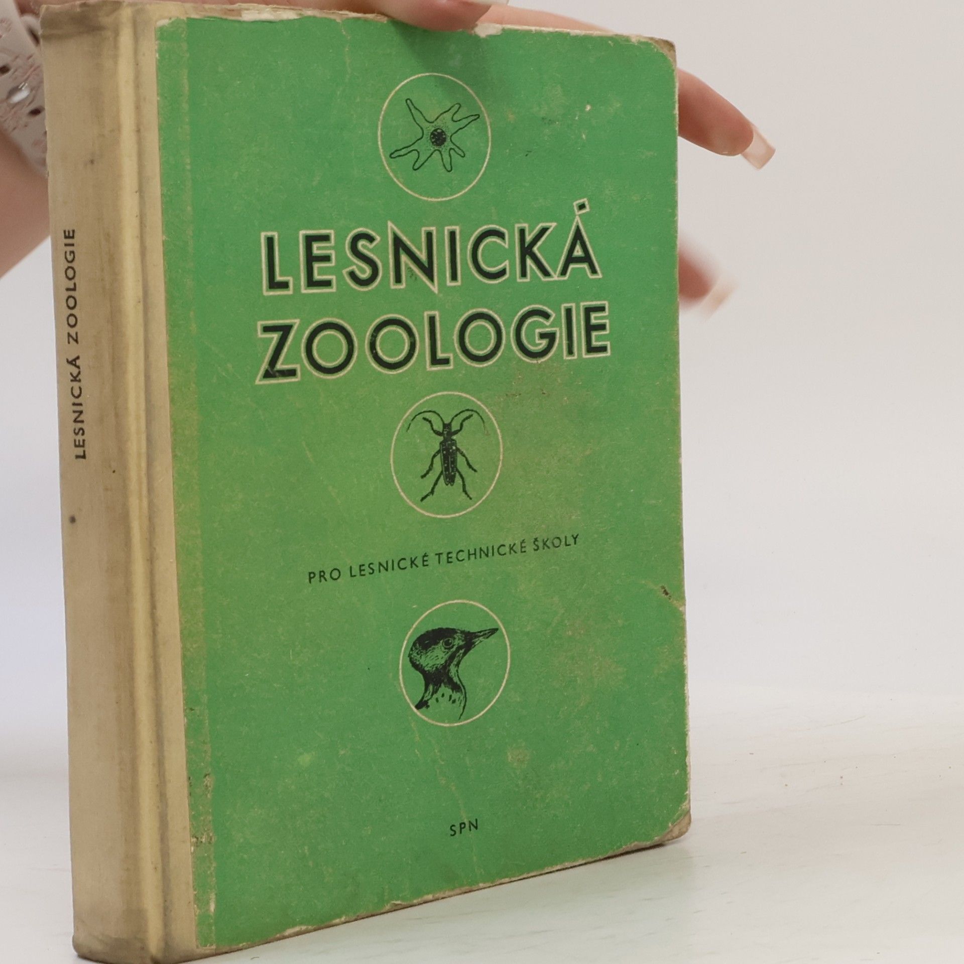 Lesnická zoologie