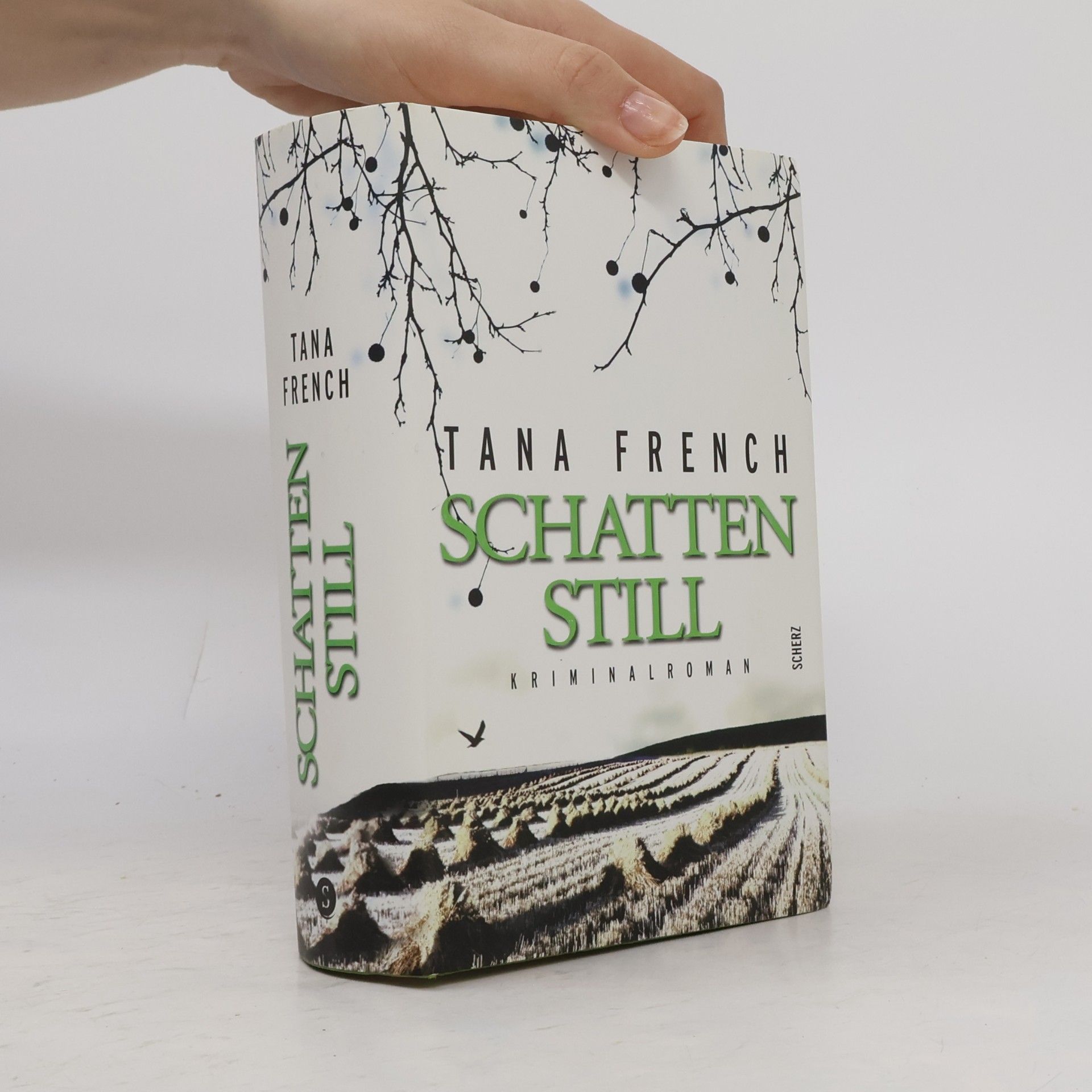 Tana French Schattenstill