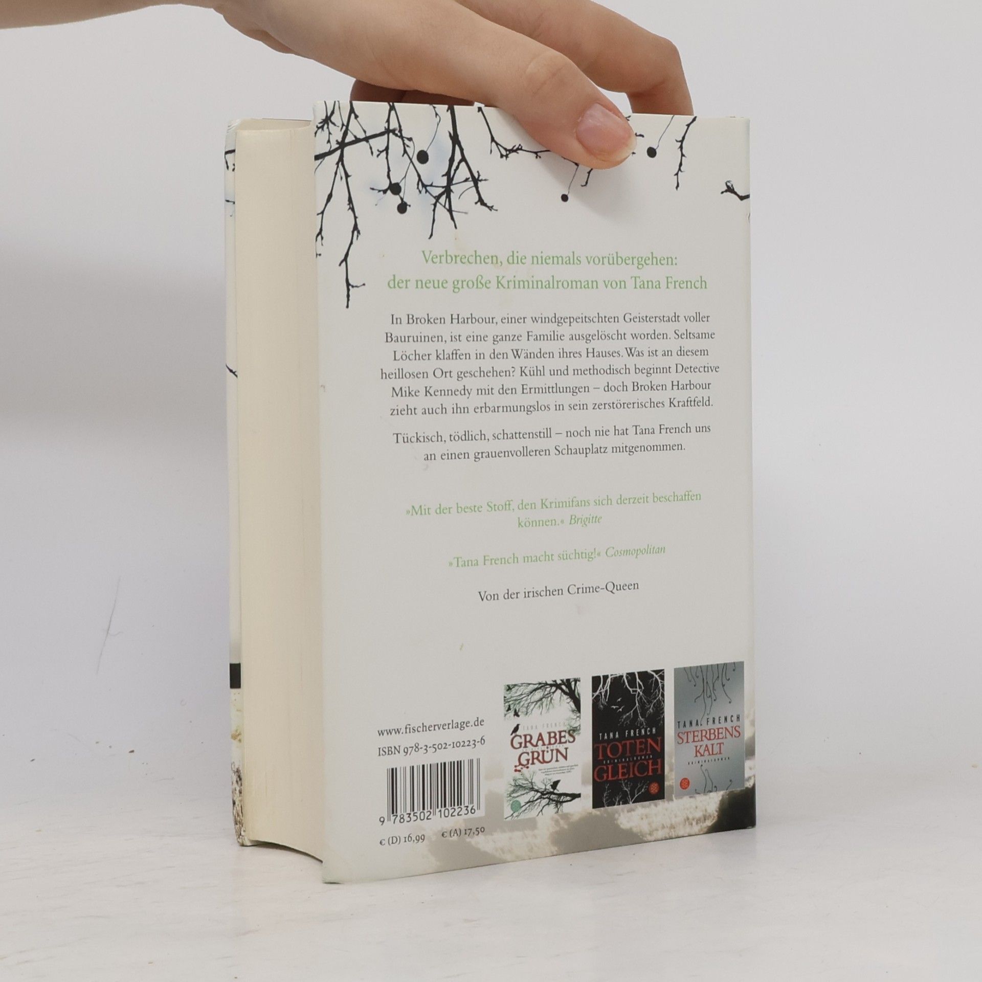 Tana French Schattenstill