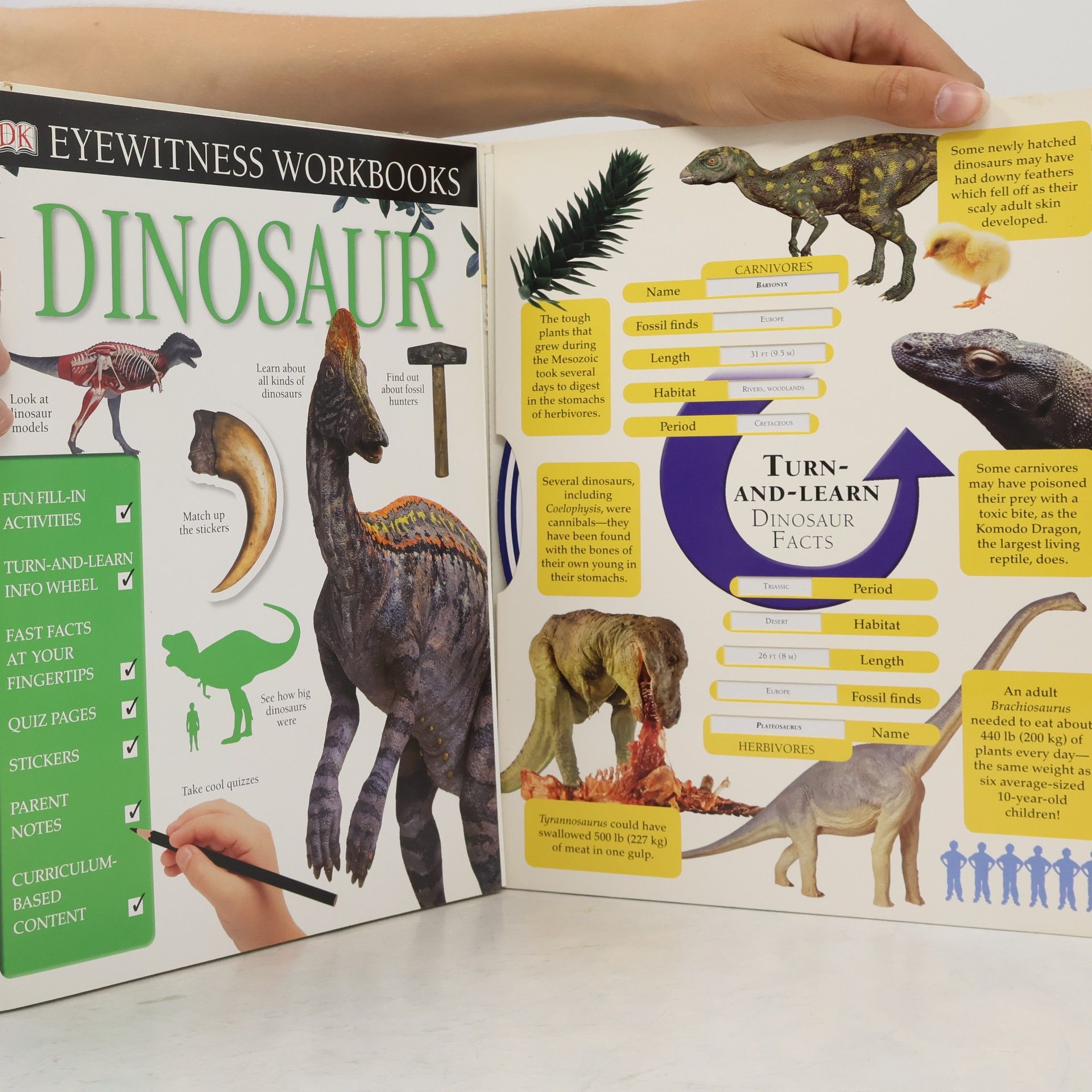 Claire Watts Eyewitness Workbooks: Dinosaur