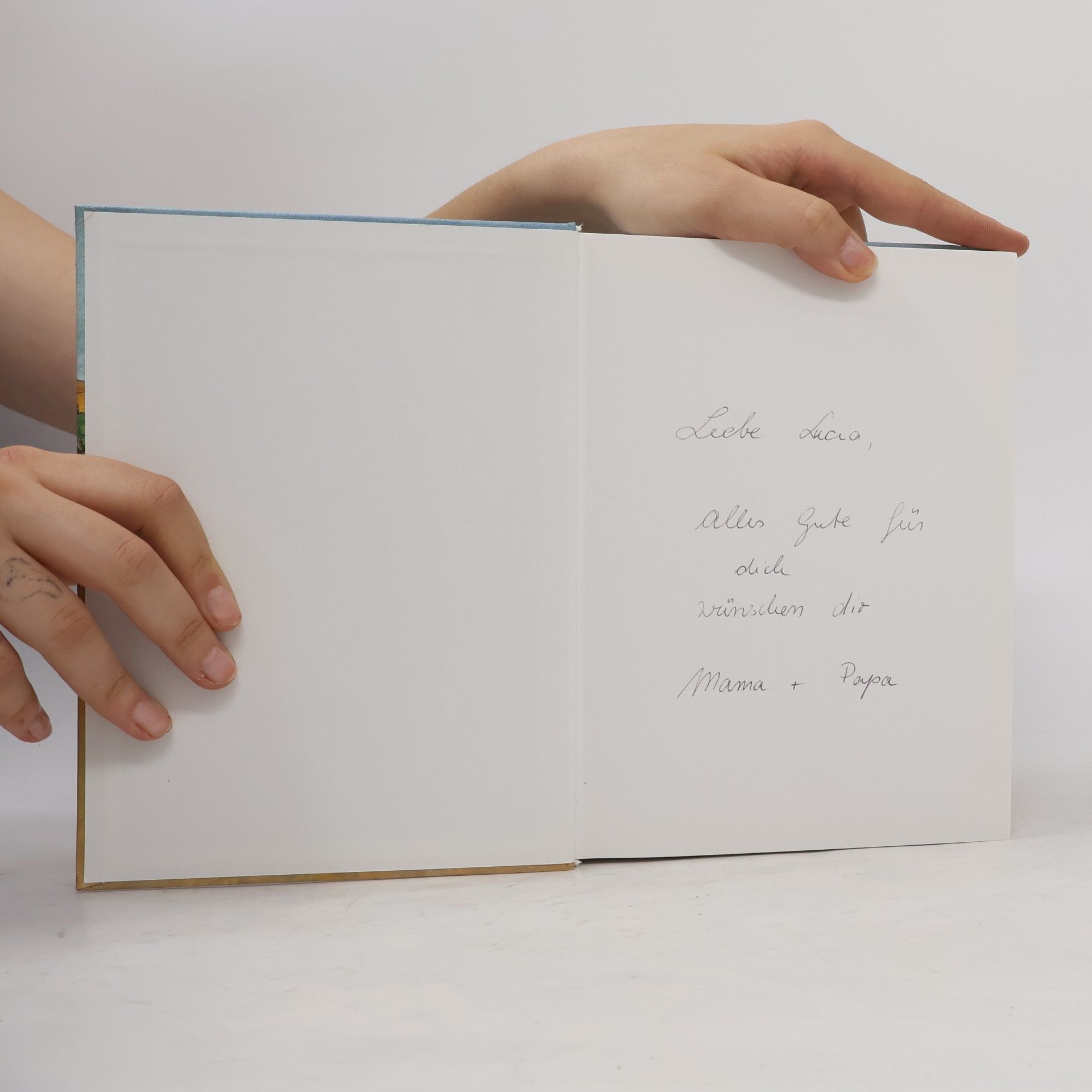 Anne de Vries Die Bibel unserer Kinder