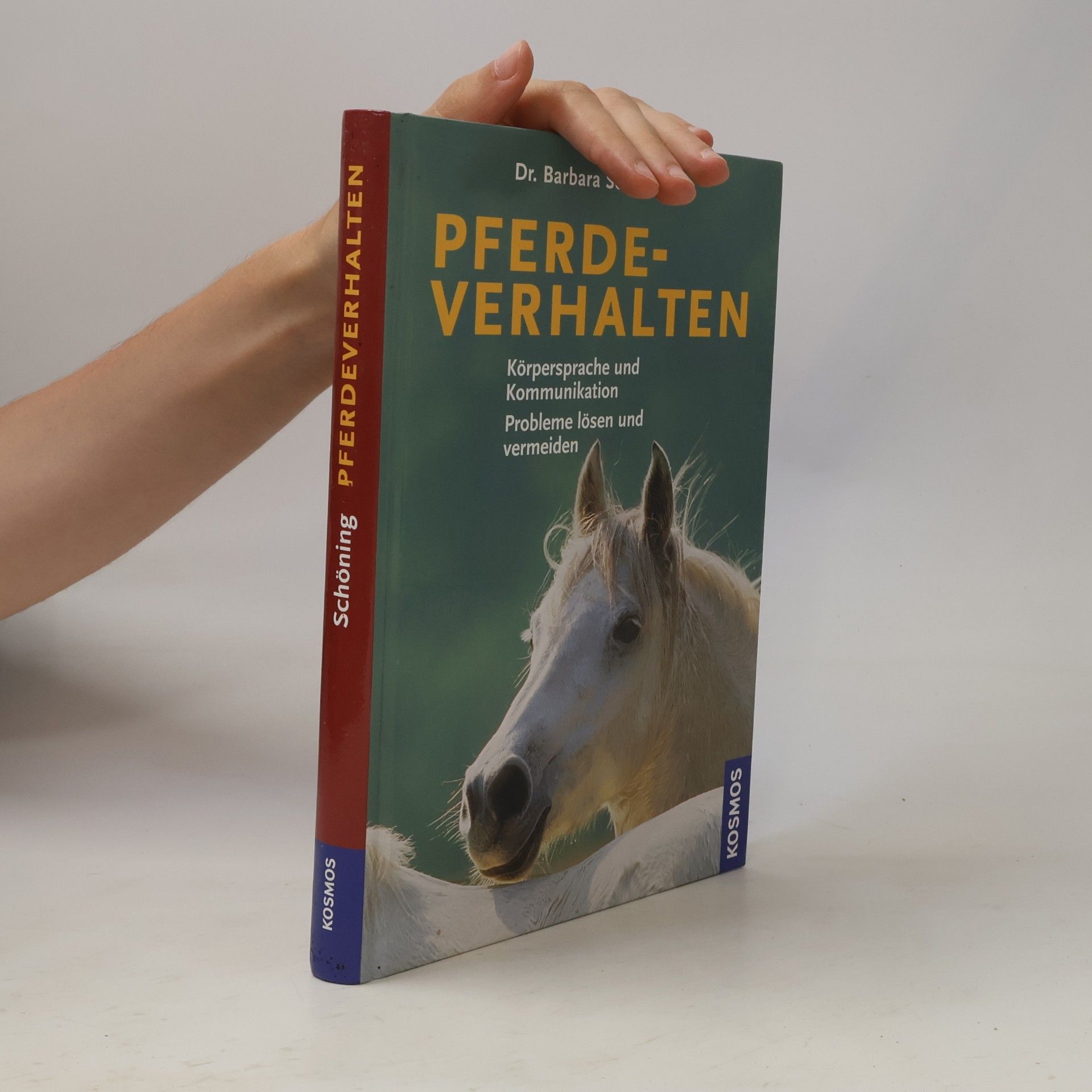 Barbara Schöning Pferdeverhalten