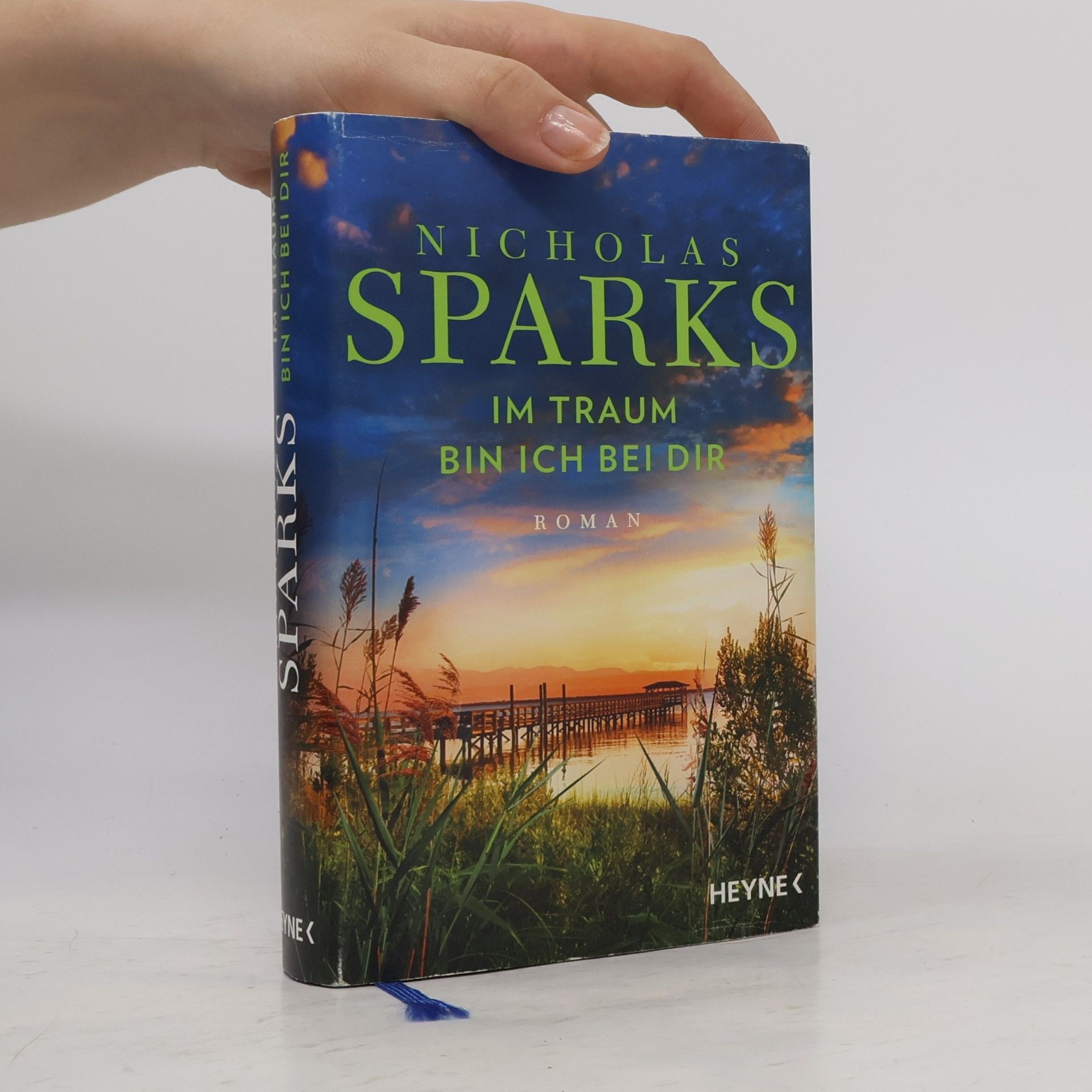Nicholas Sparks Im Traum bin ich bei dir
