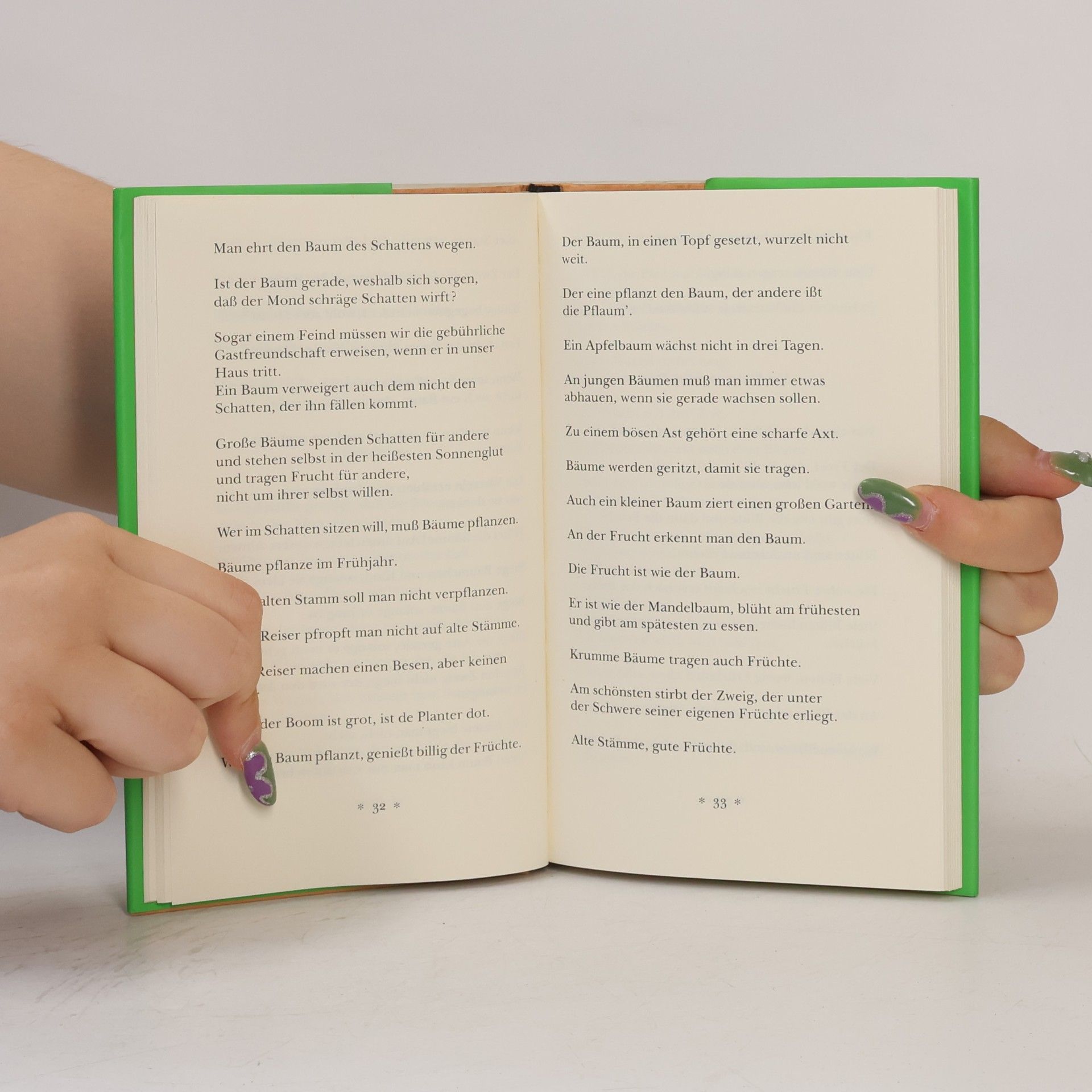 Autorenkollektiv Immergrüne Sprüche