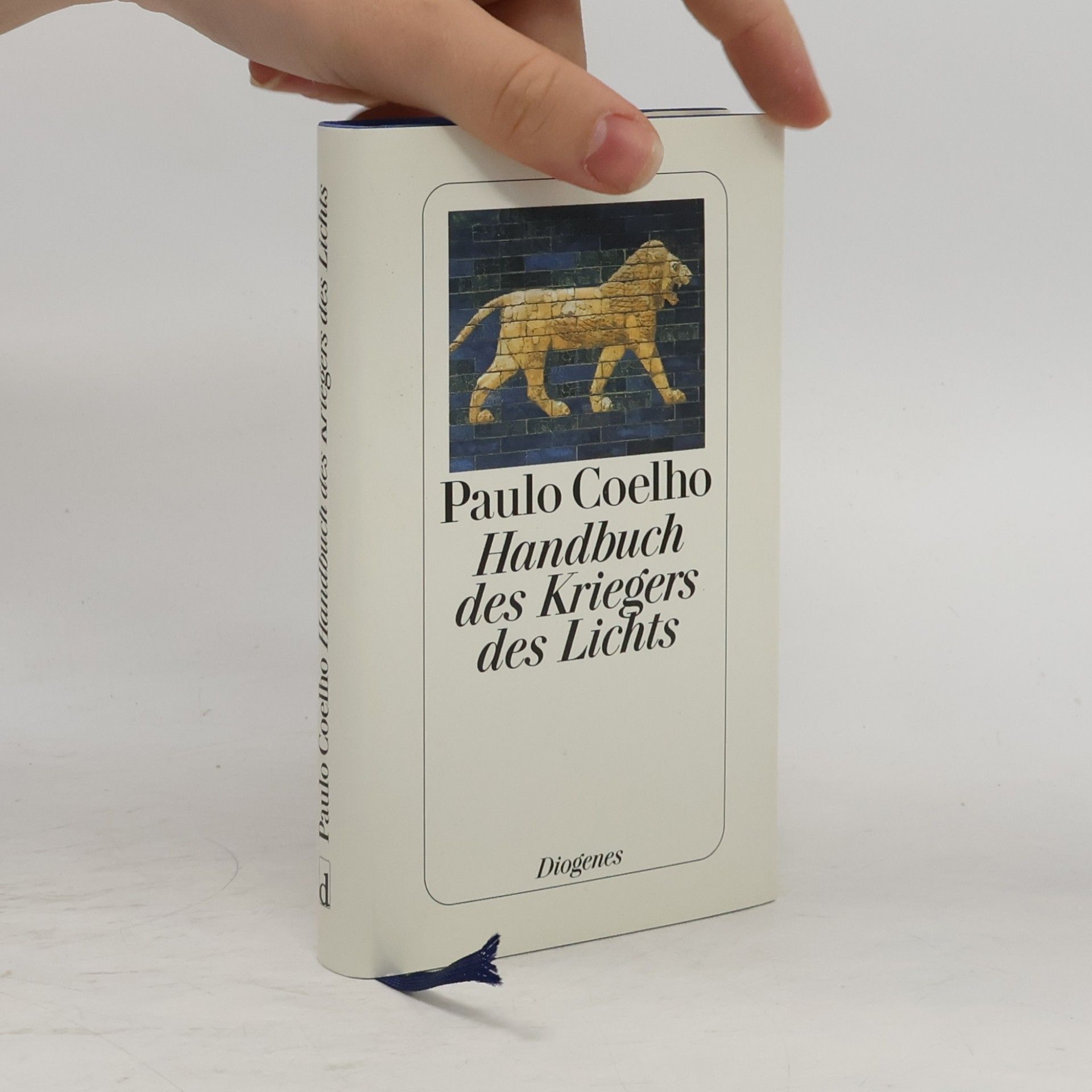Paulo Coelho Handbuch des Kriegers des Lichts