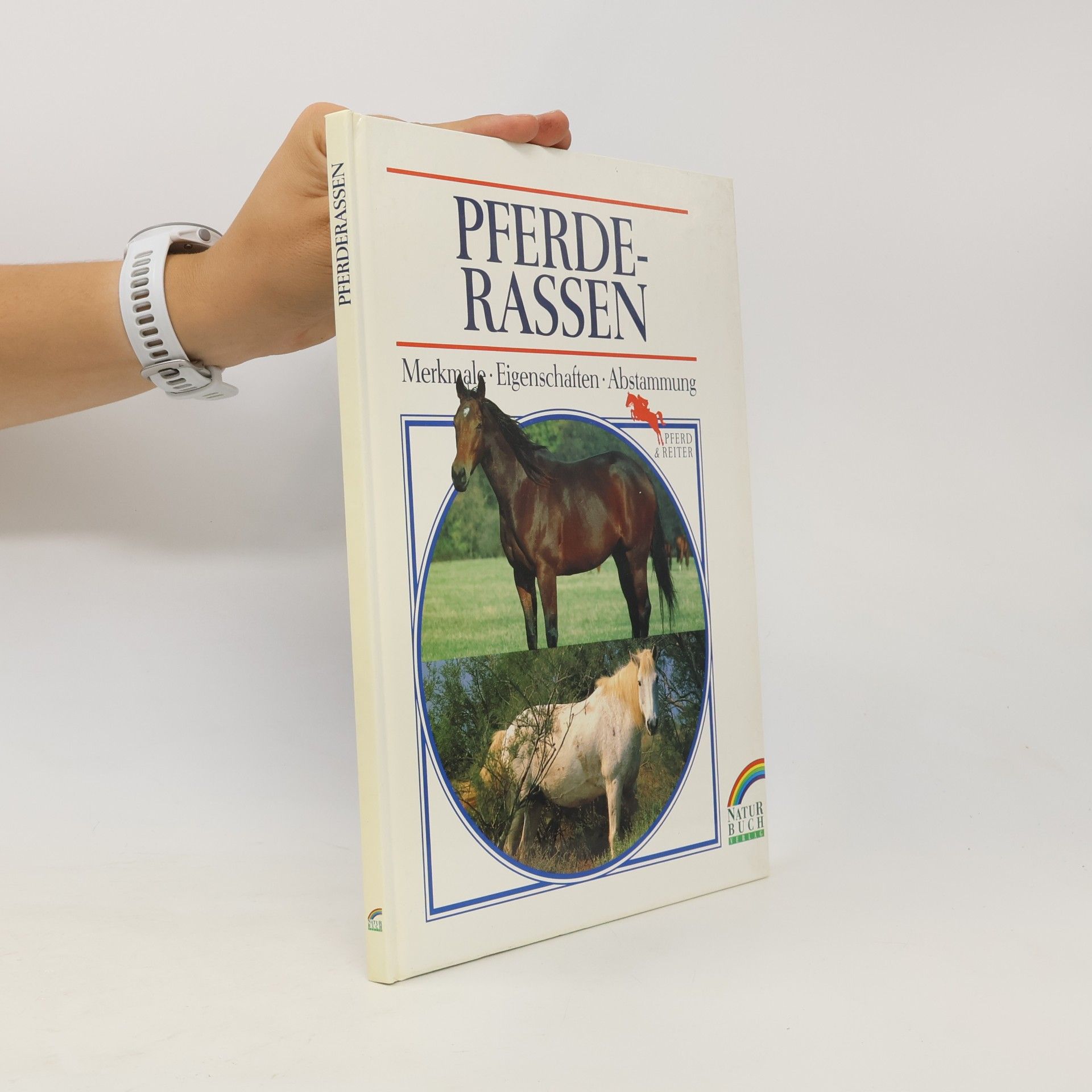 Autorenkollektiv Pferderassen