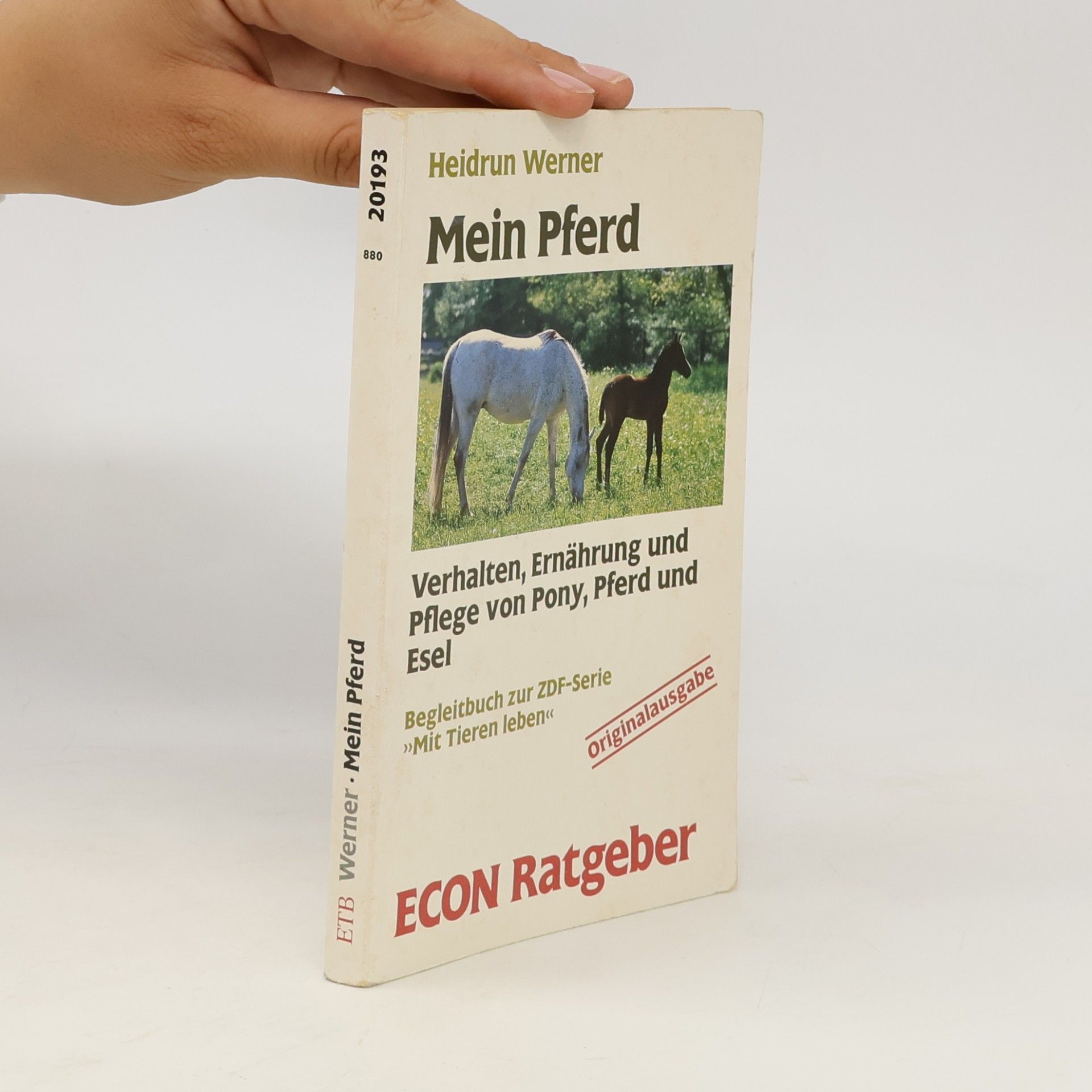 Heidrun Werner Mein Pferd