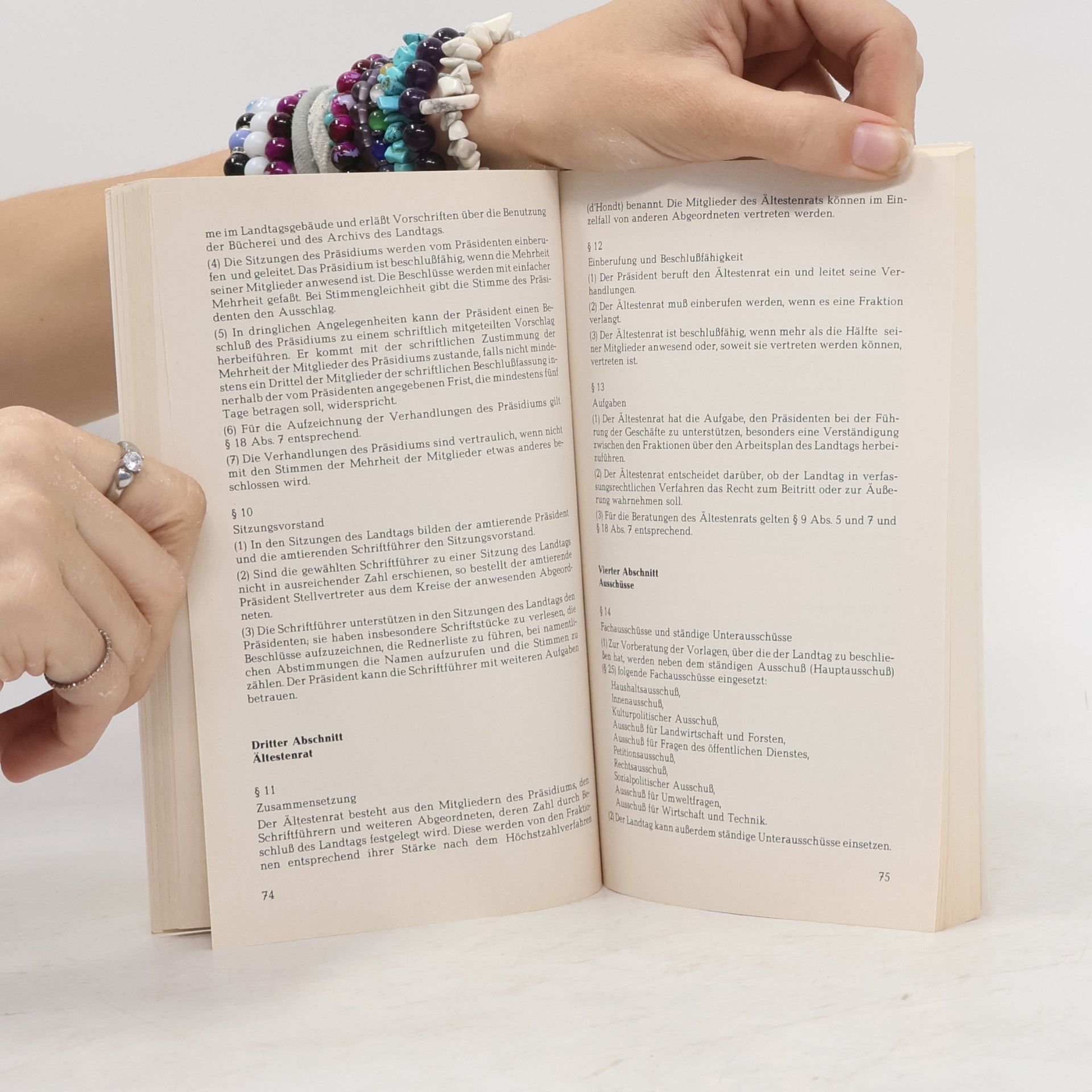 Autores varios Hessischer Landtag. 10. Wahlperiode