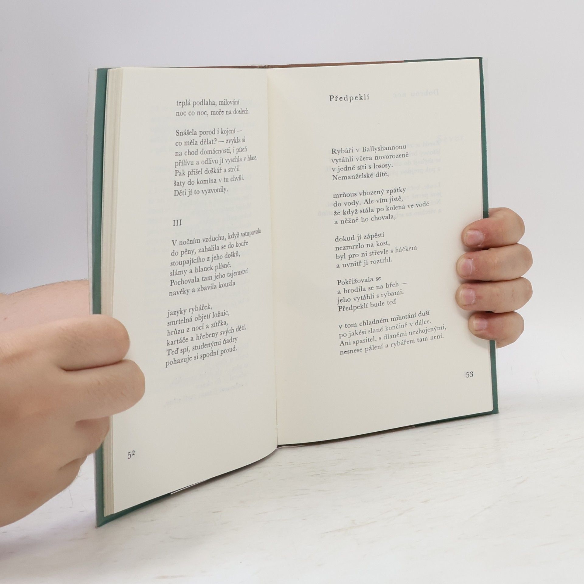 Seamus Heaney Přezimování pod širým nebem