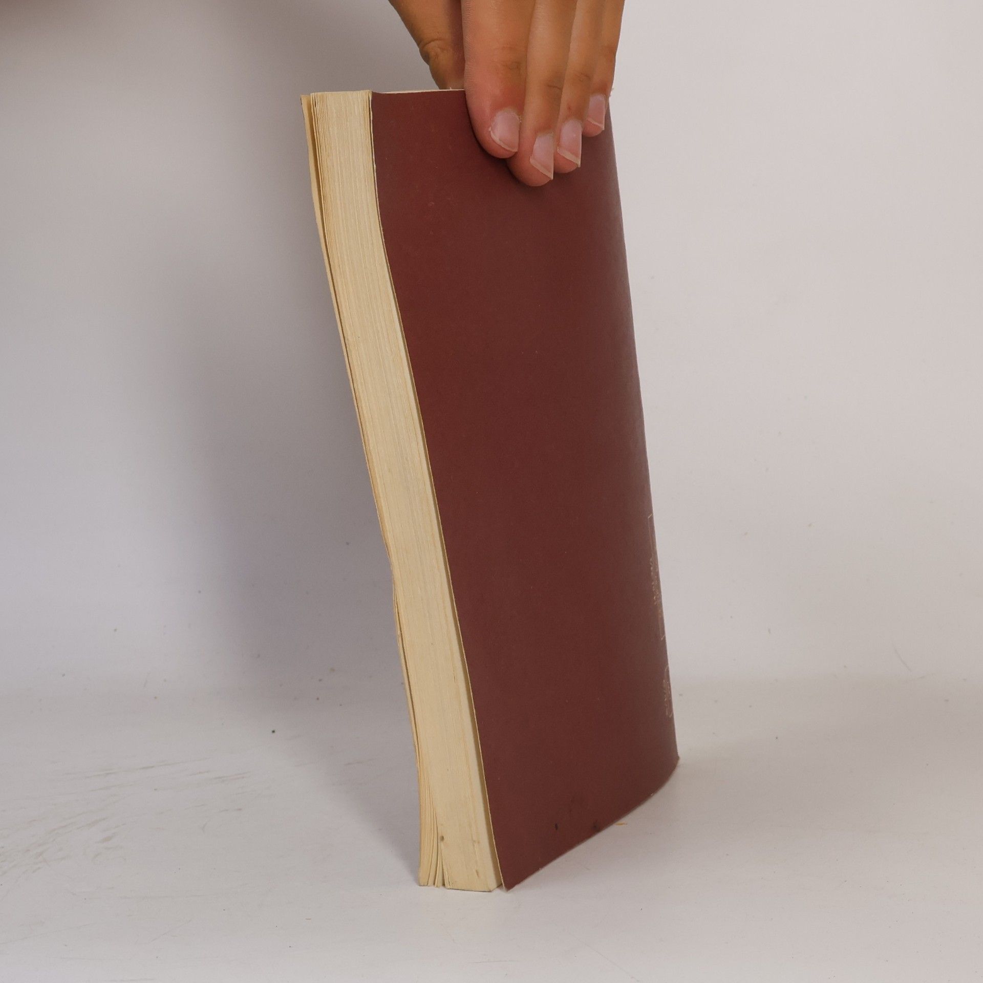 Vítězslav Rzounek Literatura IV. pro střední školy