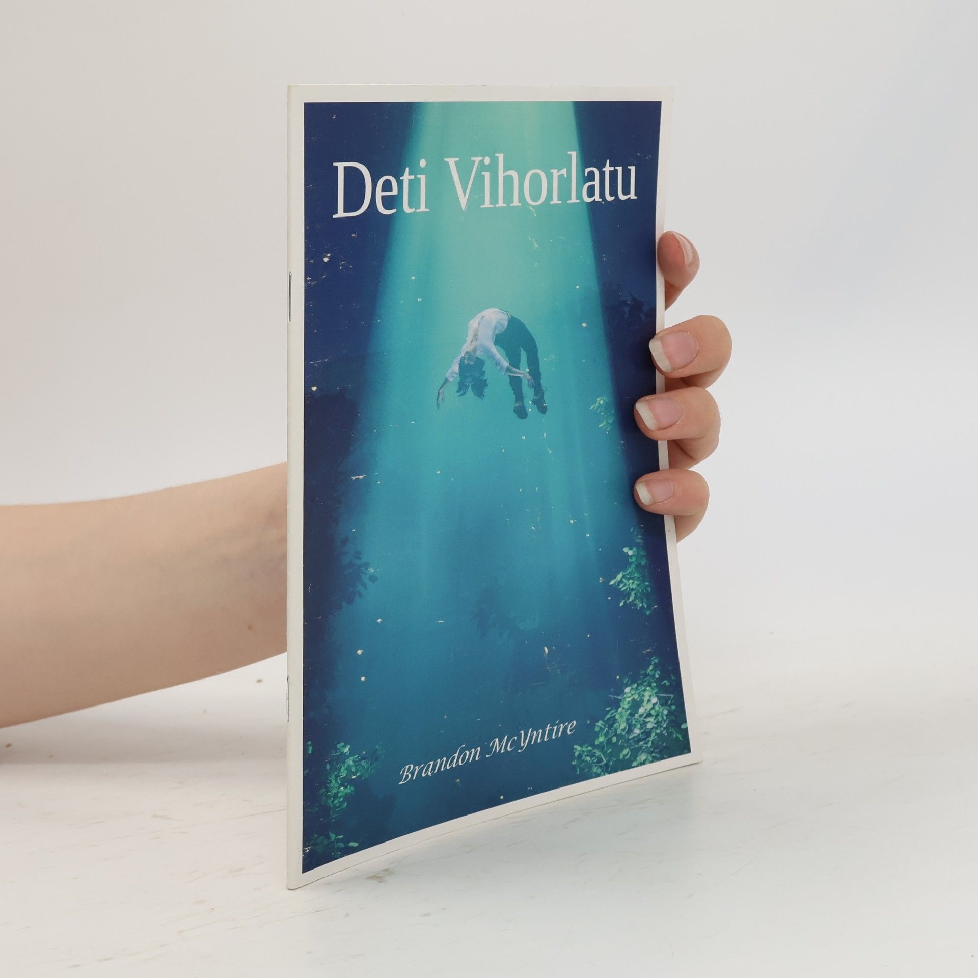 Deti Vihorlatu