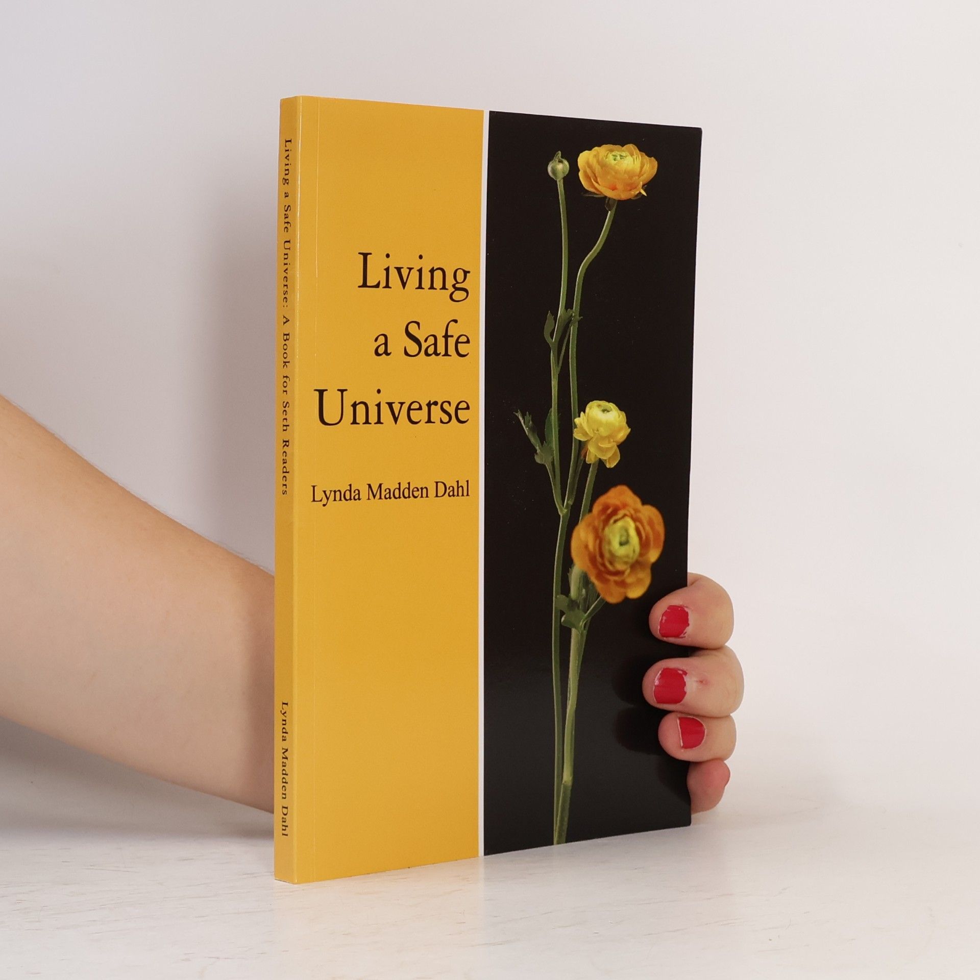Lynda Madden Dahl Living a Safe Universe