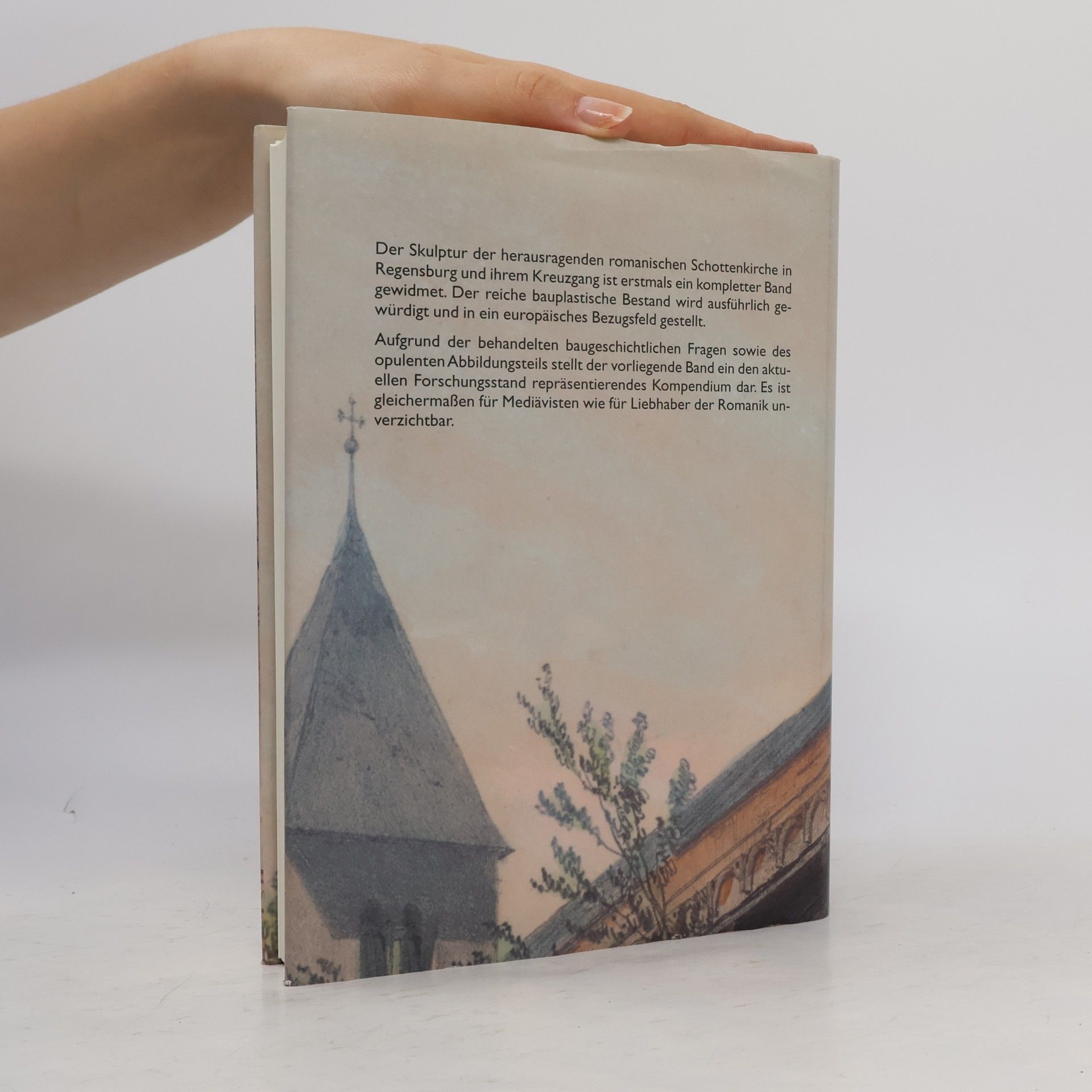Mona Stocker Regensburger Studien und Quellen zur Kulturgeschichte: Die Schottenkirche St. Jakob in Regensburg
