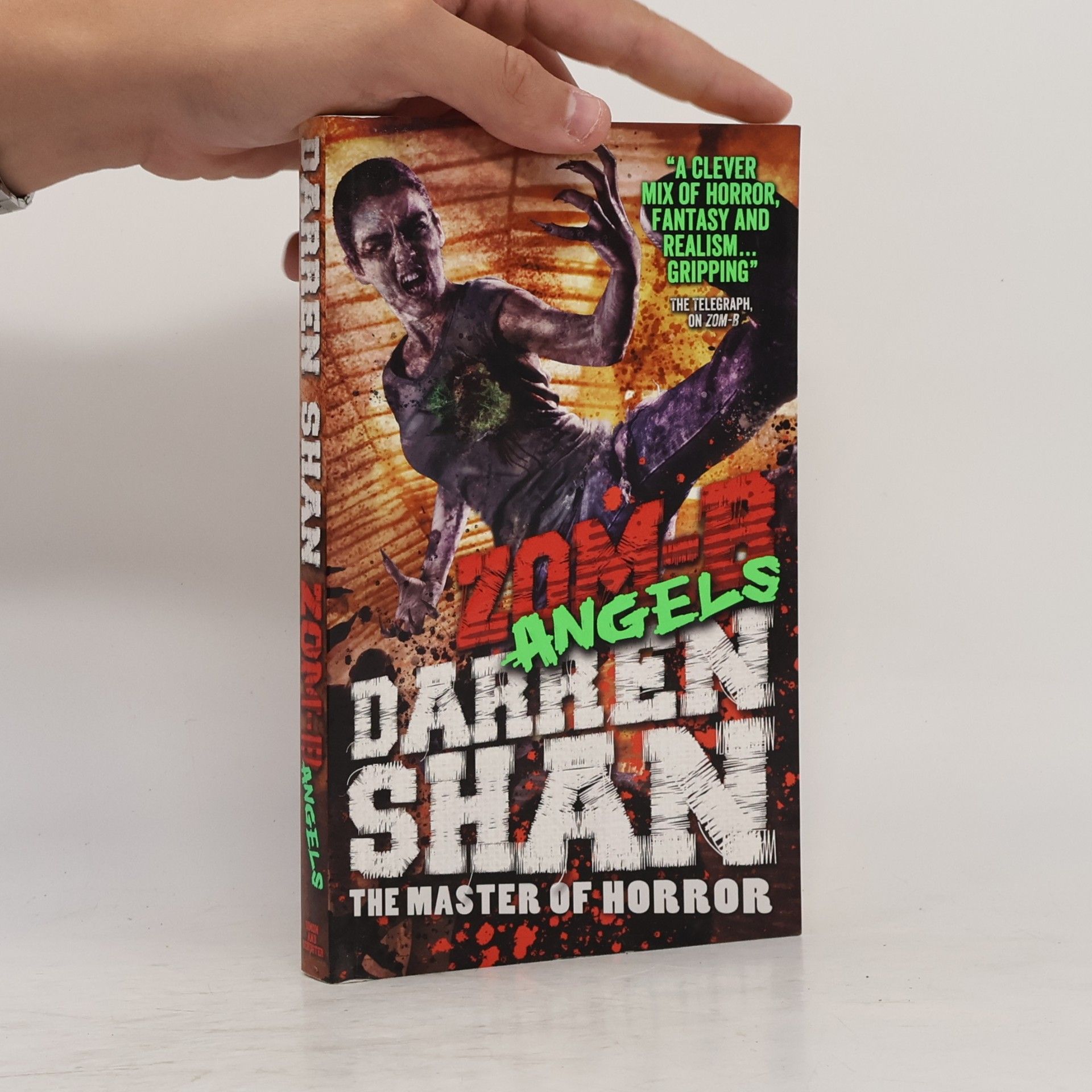 Darren Shan Zom-B Angels