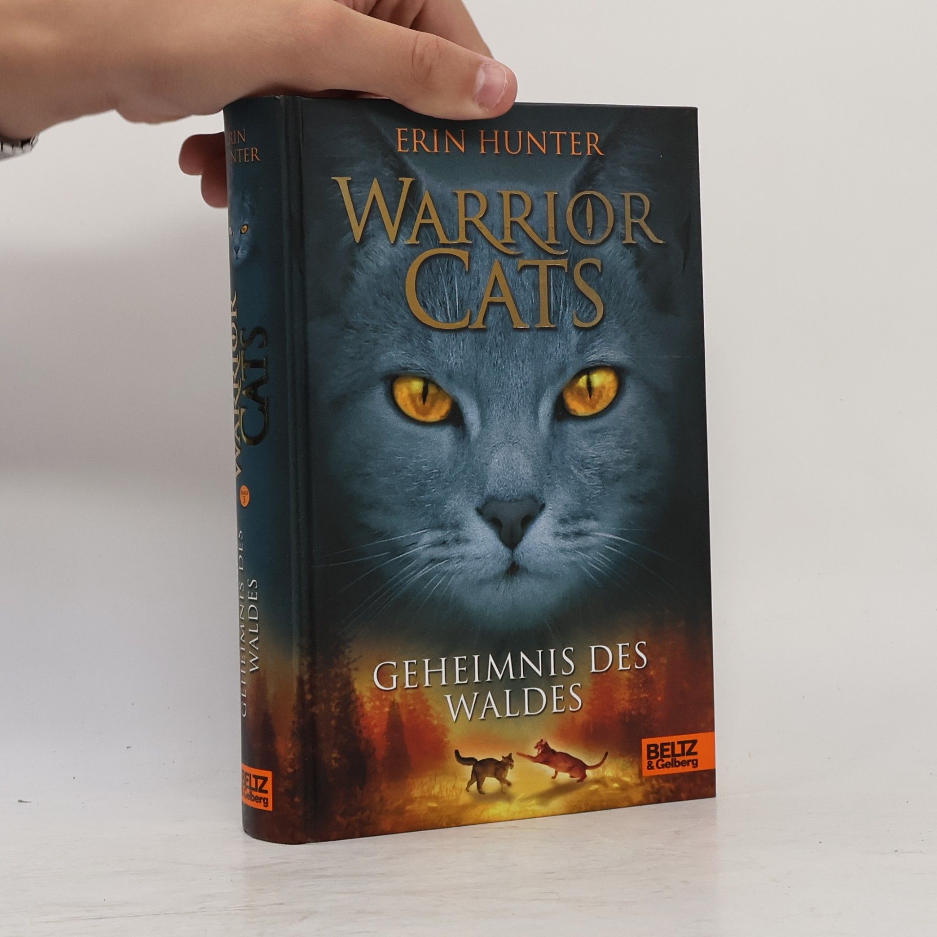 Erin Hunter Warrior Cats. Geheimnis des Waldes.