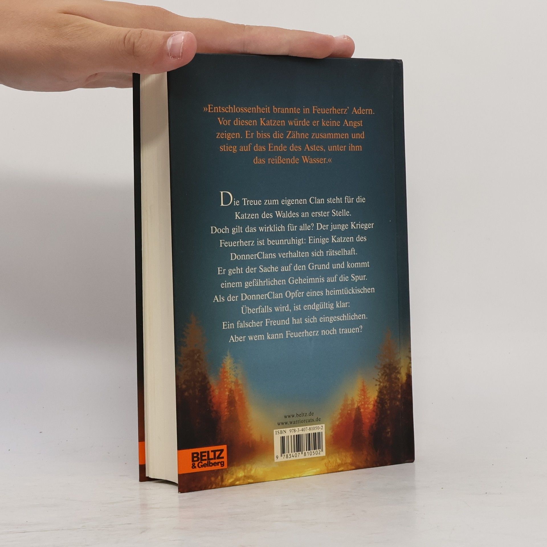 Erin Hunter Warrior Cats. Geheimnis des Waldes.