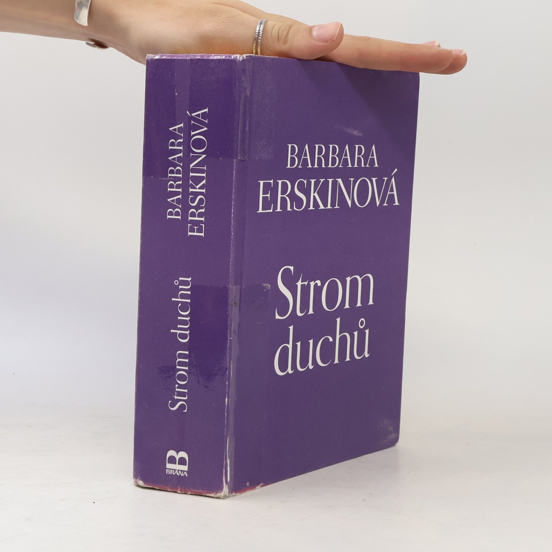 Barbara Erskine Strom duchů