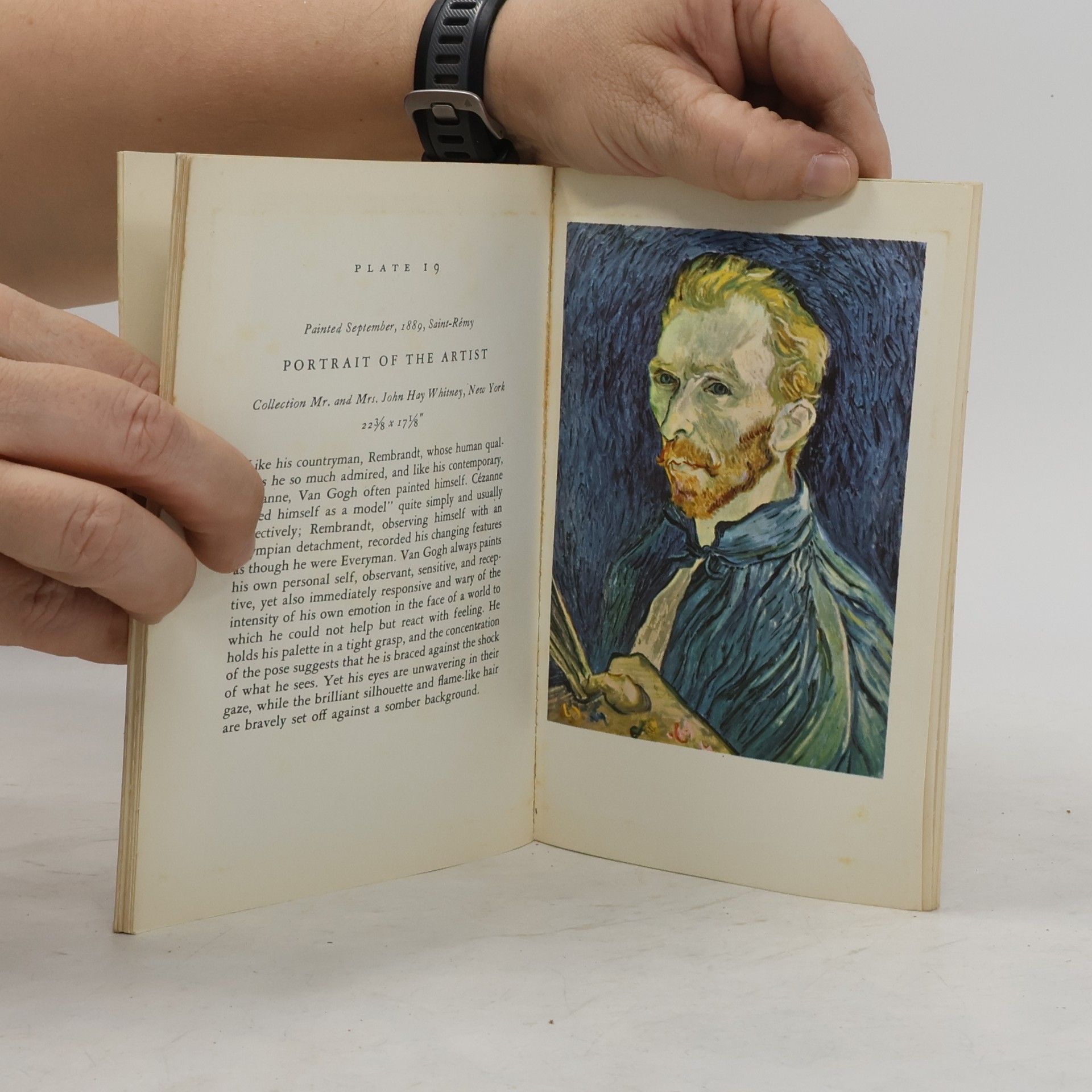 Robert Goldwater Van Gogh